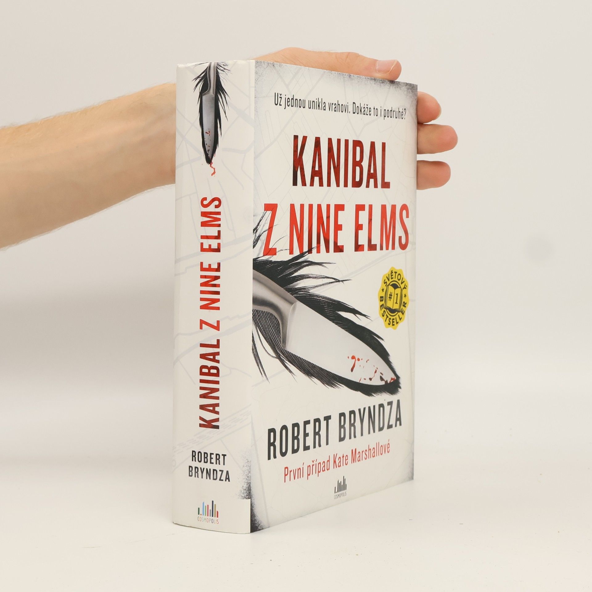 Robert Bryndza Kanibal z Nine Elms