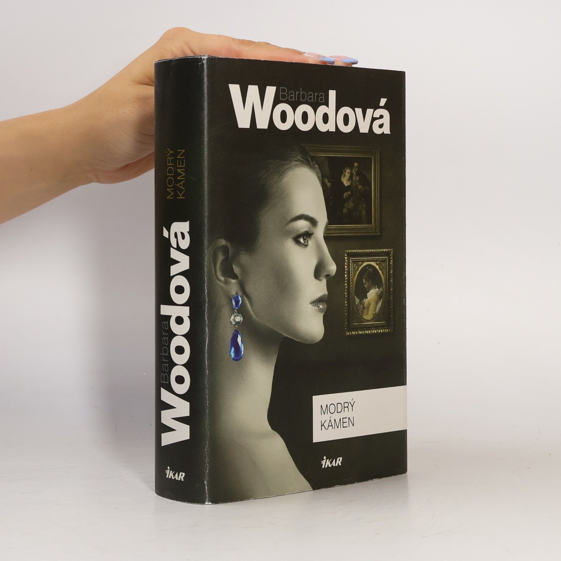 Barbara Wood Modrý kámen