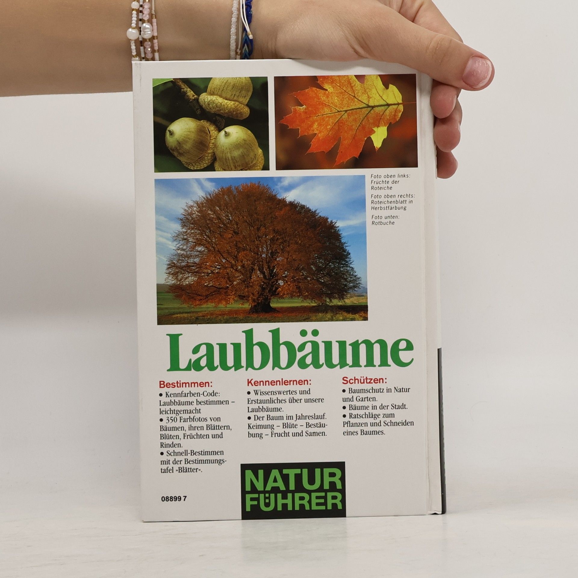 Gregor Aas Laubbäume