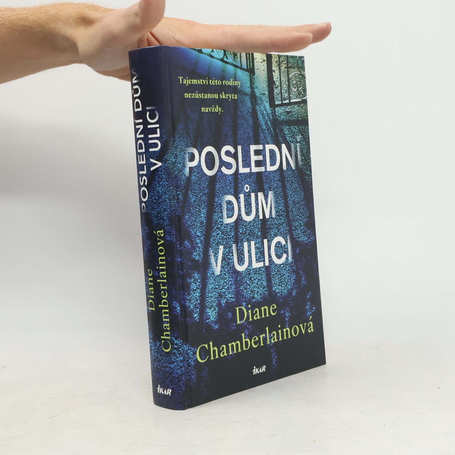 Diane Chamberlain Poslední dům v ulici