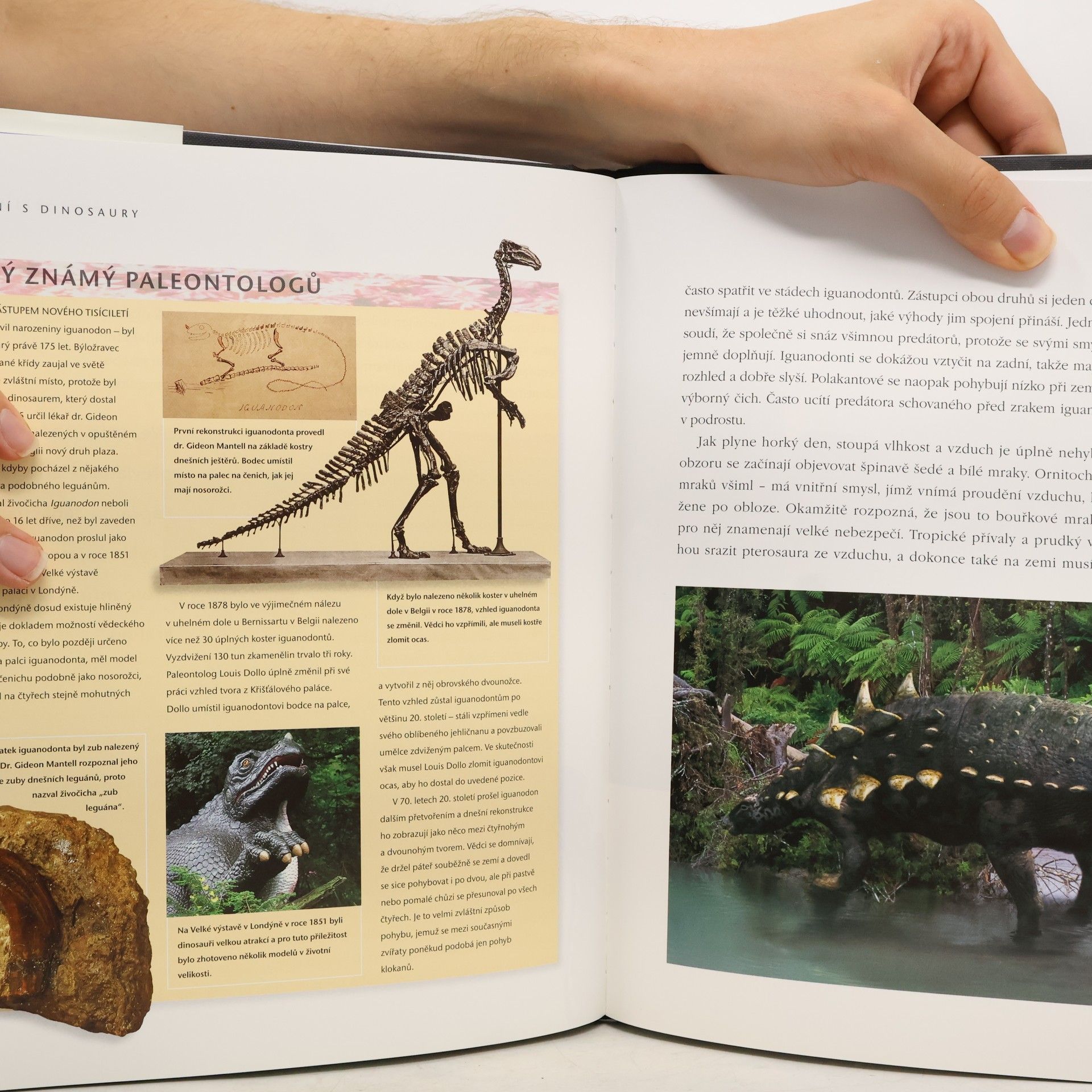 Tim Haines Putování s dinosaury
