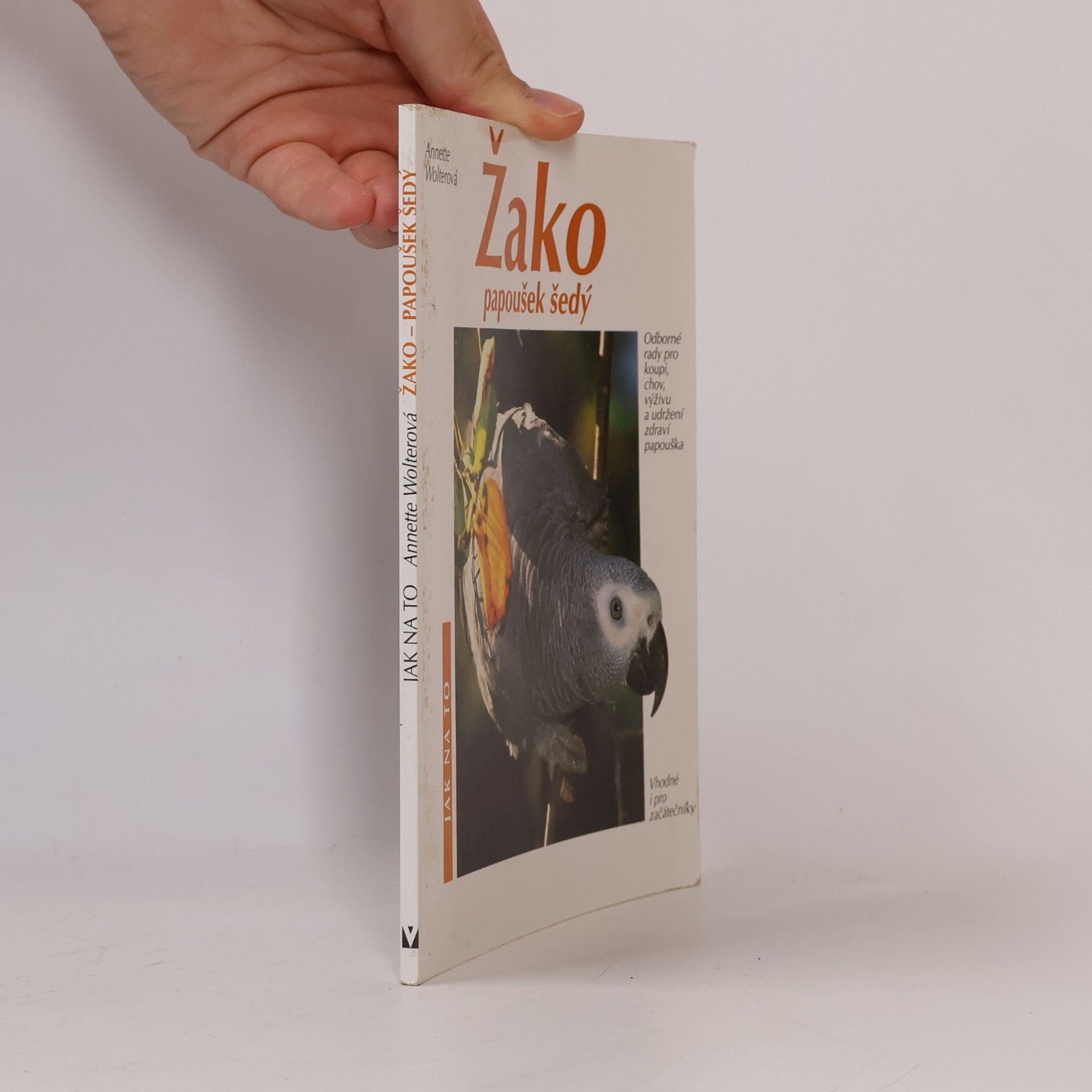 Žako. Papoušek šedý
