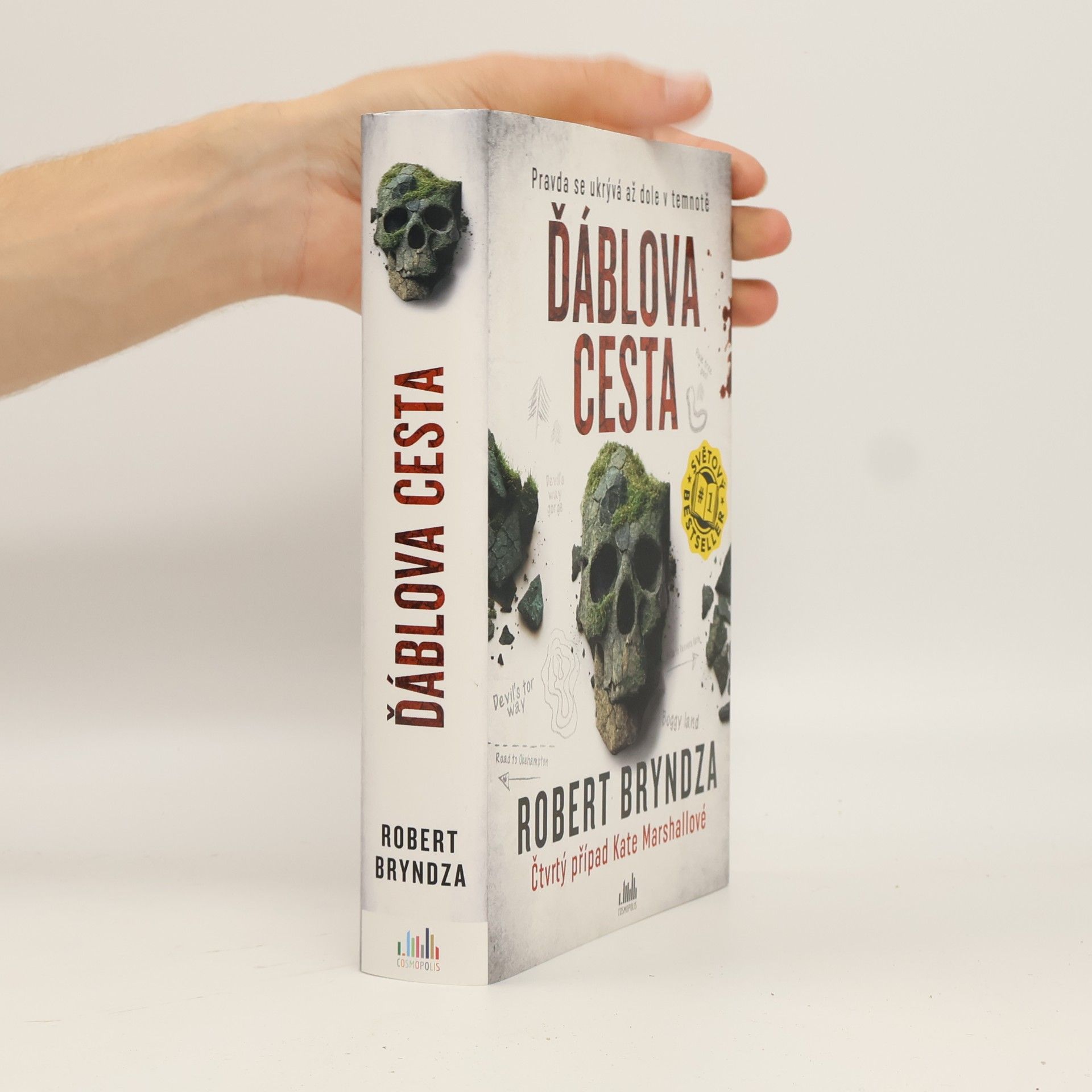 Robert Bryndza Ďáblova cesta