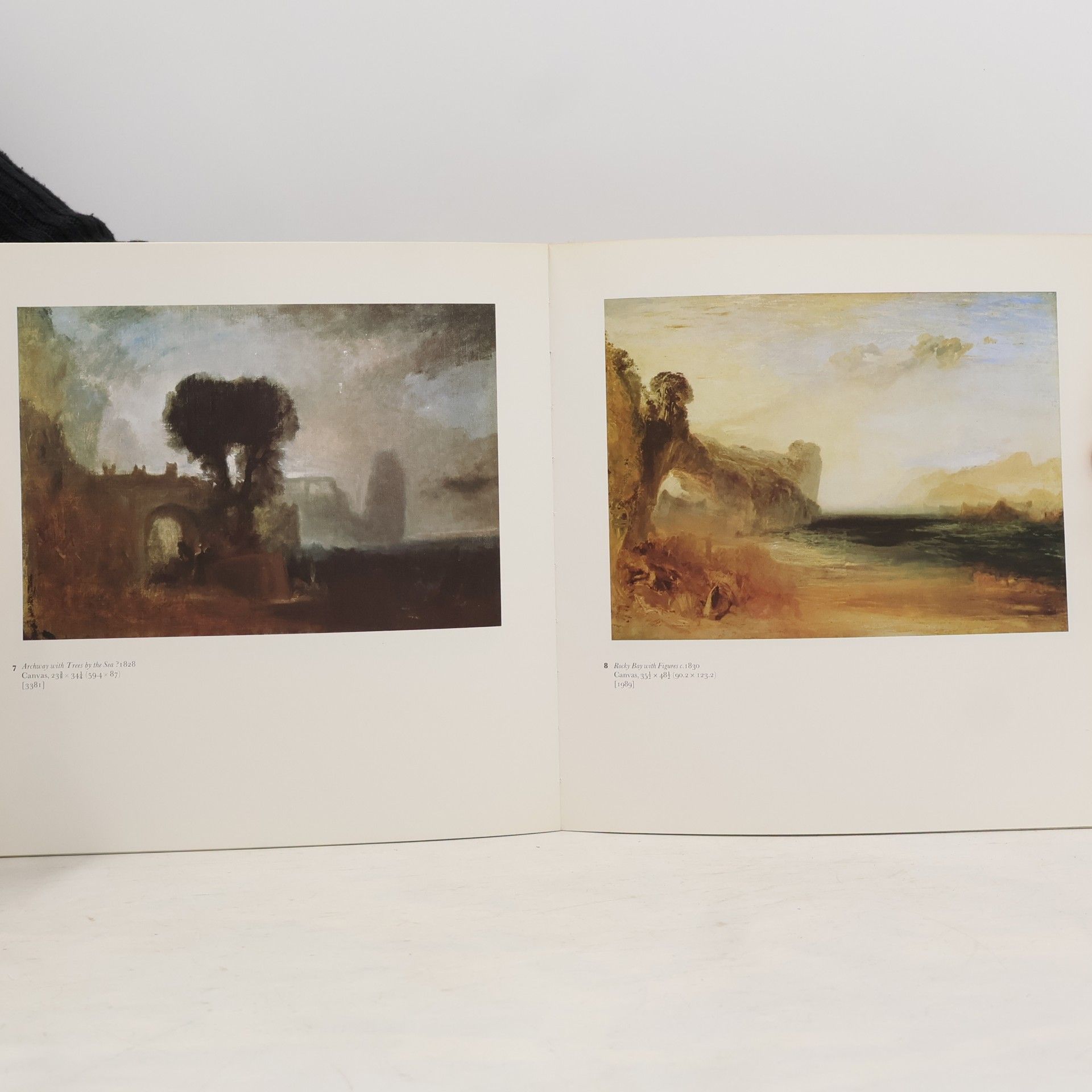 Martin Butlin Tate Gallery Colour Book Series: The Later Works of J. M. W. Turner