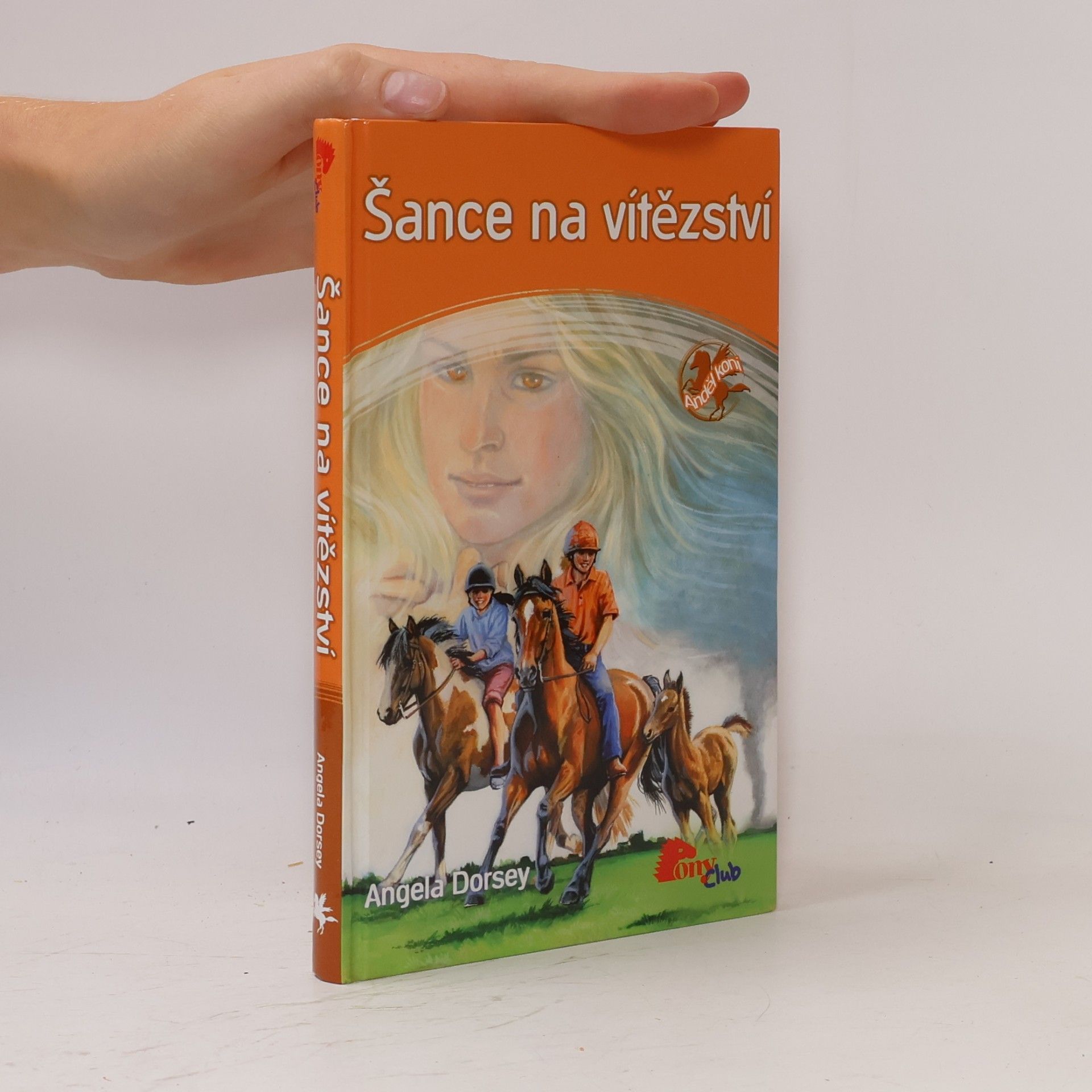 Angela Dorsey Šance na vítězství
