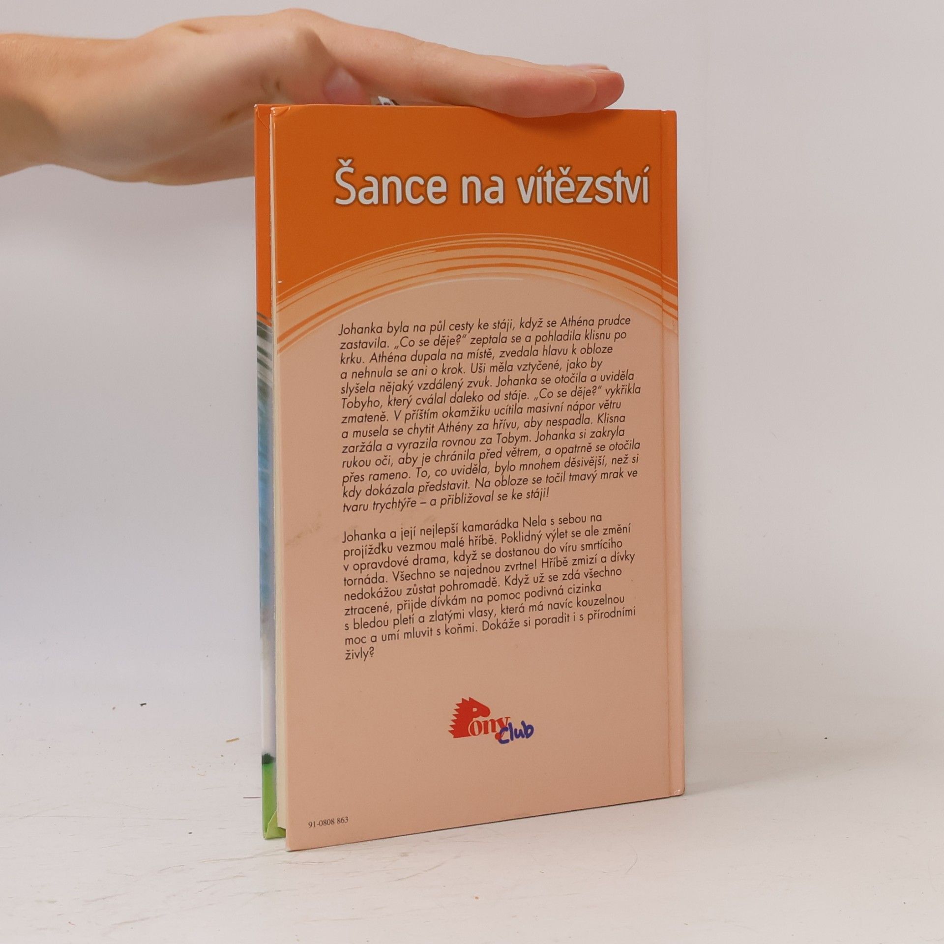 Angela Dorsey Šance na vítězství
