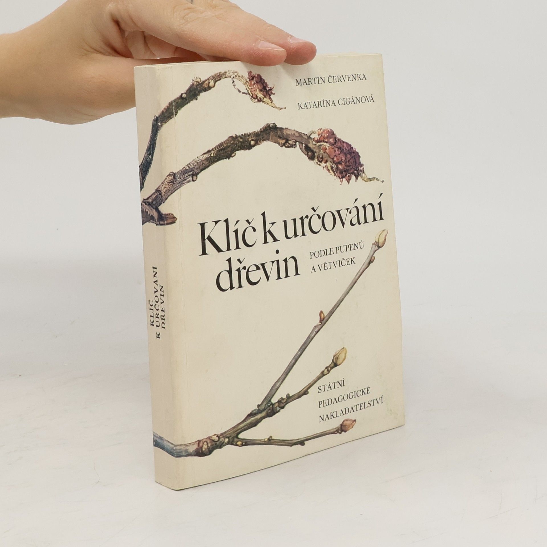 Katarína Cigánová Klíč k určování dřevin podle pupenů a větviček