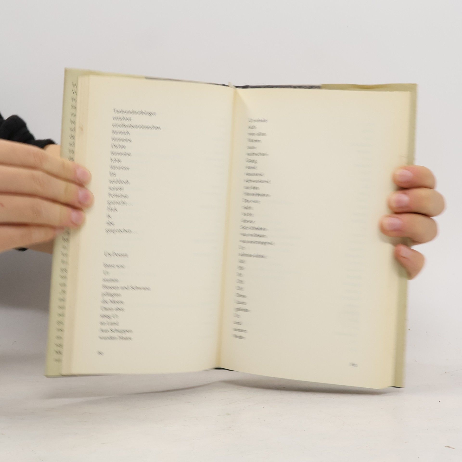 Curt Stenvert Wien und die Wiener: und andere Texte