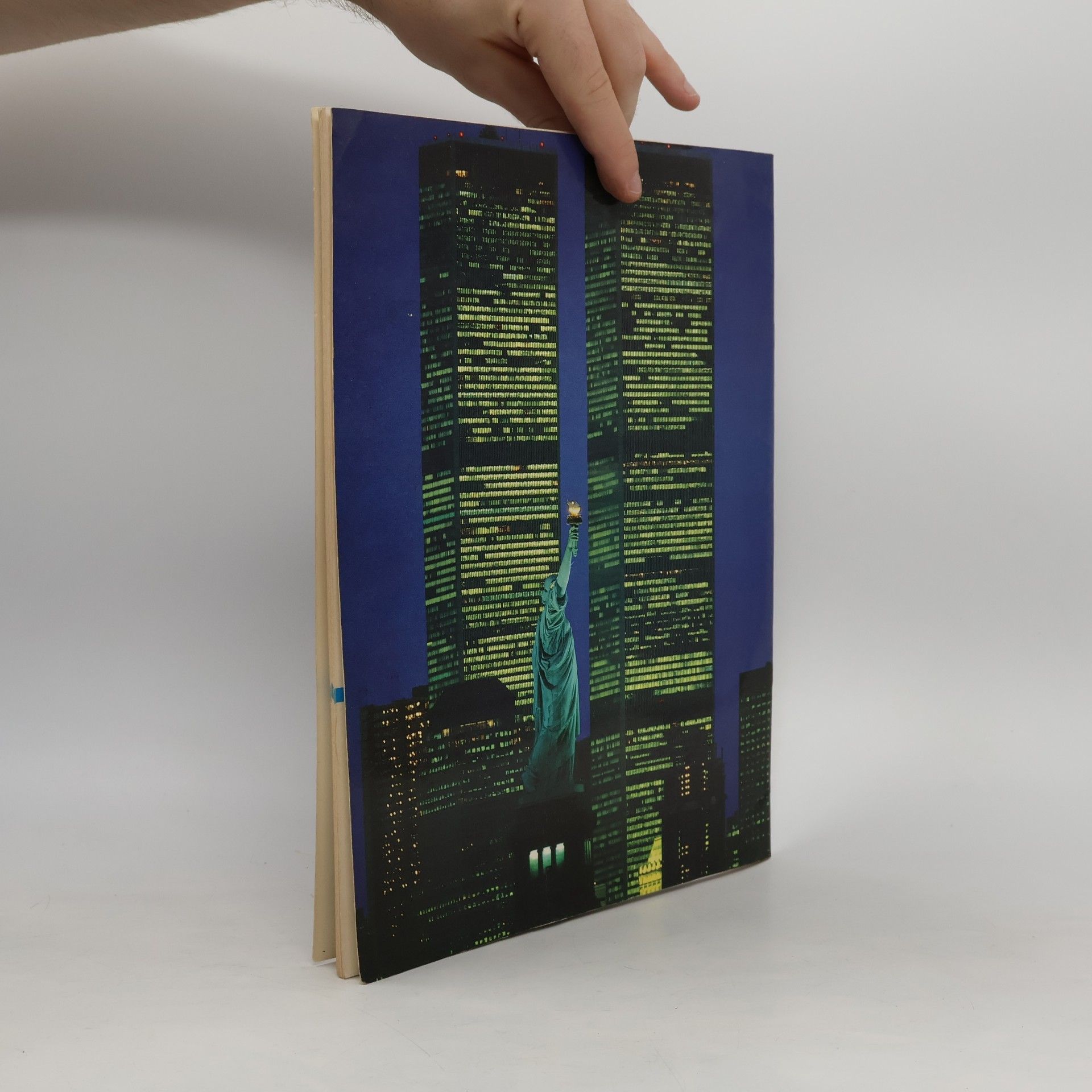 Autorenkollektiv New York Illustrated