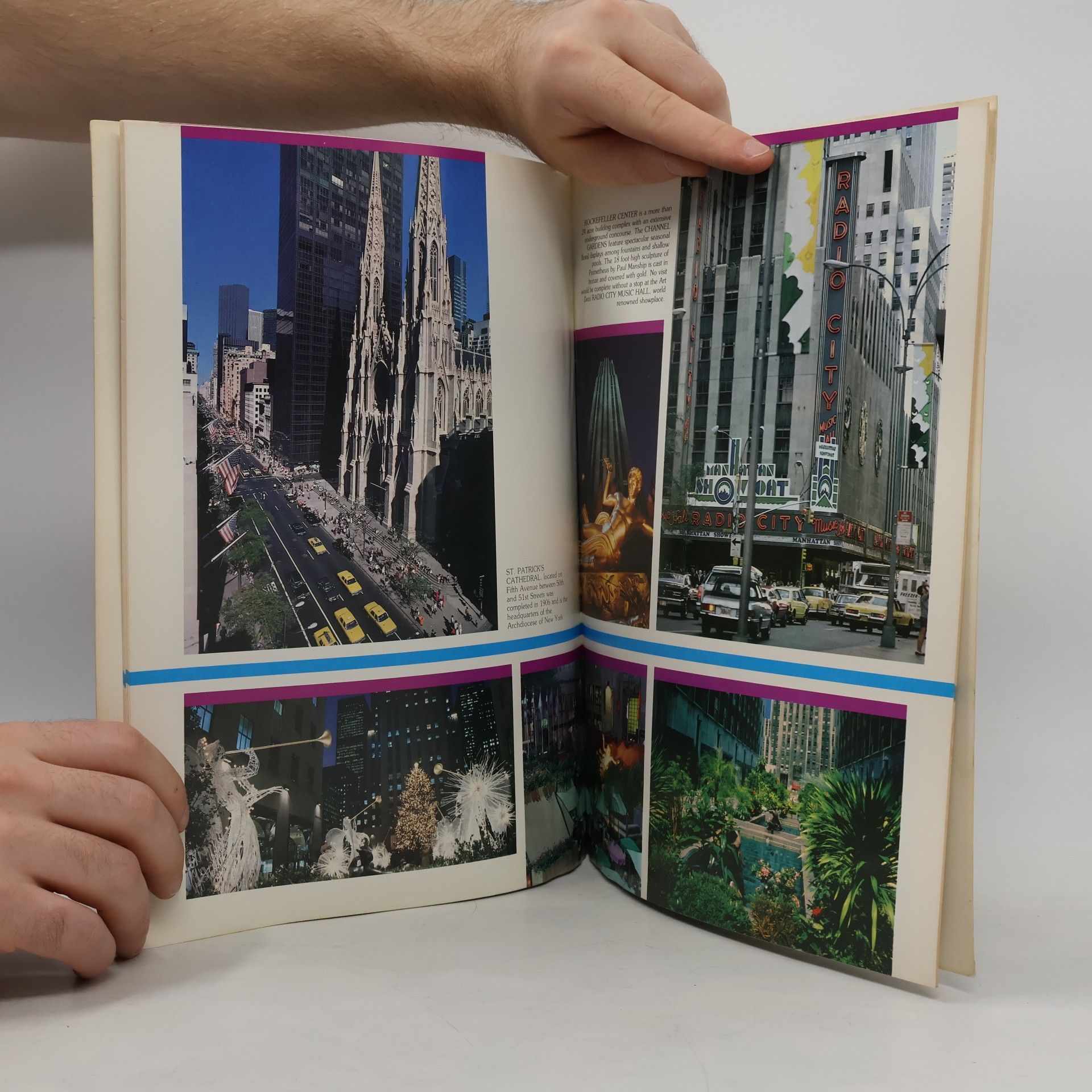 Autorenkollektiv New York Illustrated