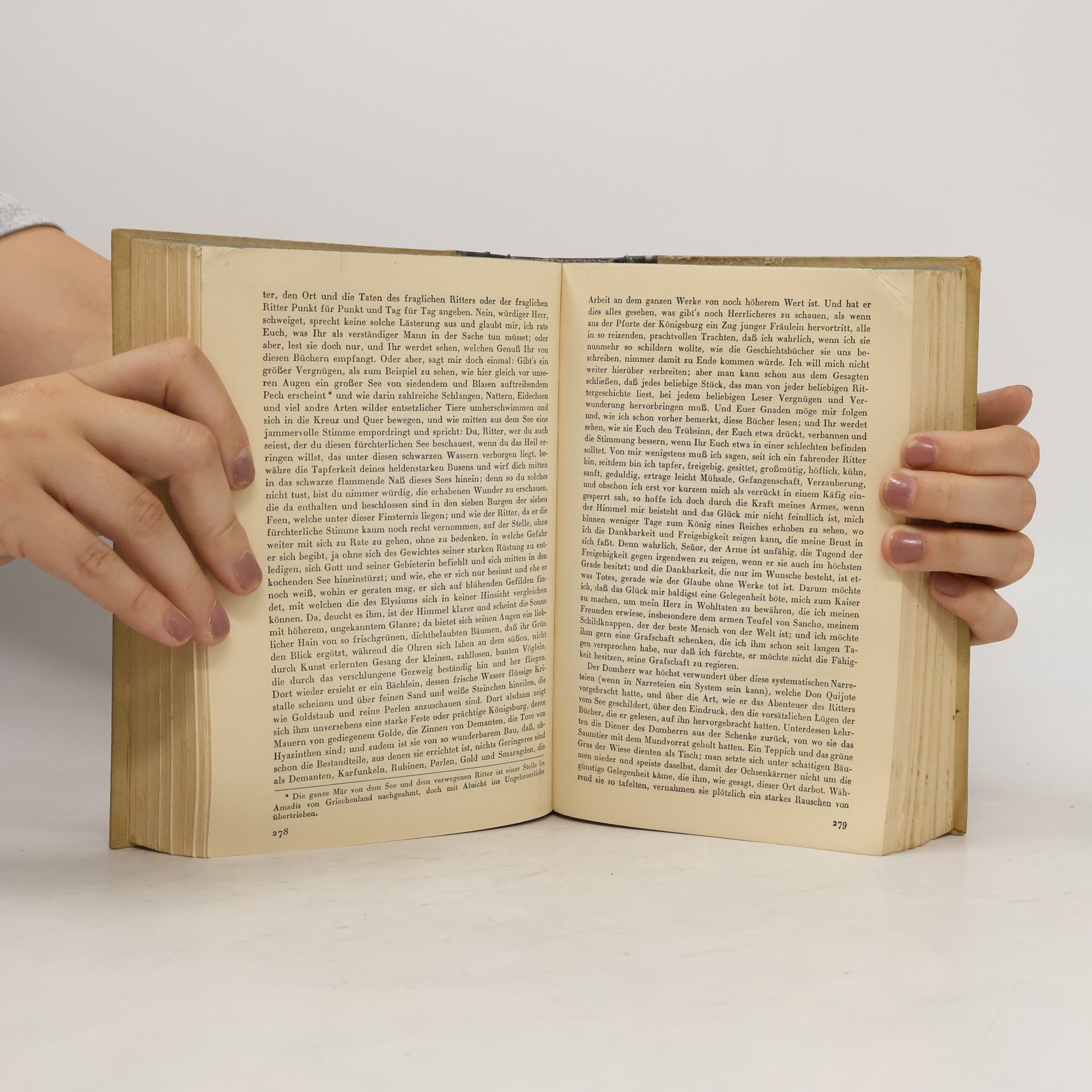 Miguel de Cervantes Don Quijote von der Mancha