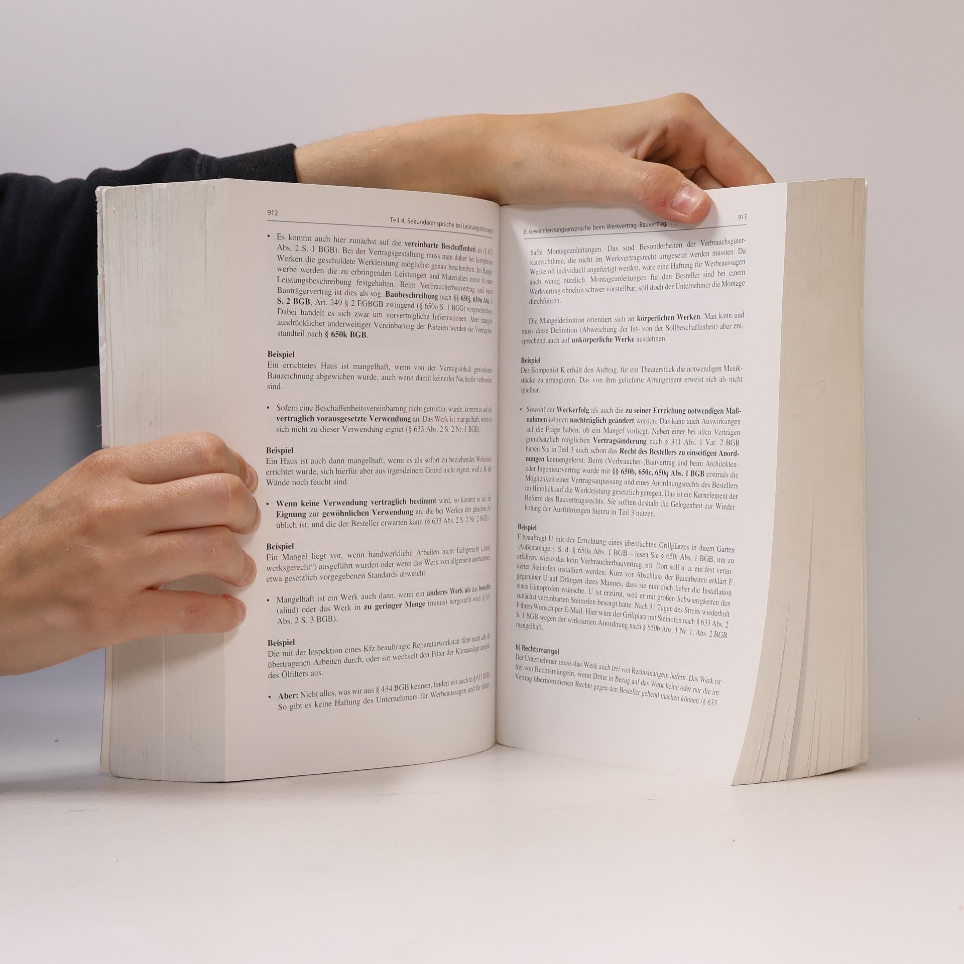 Jürgen Plate Das gesamte examensrelevante Zivilrecht