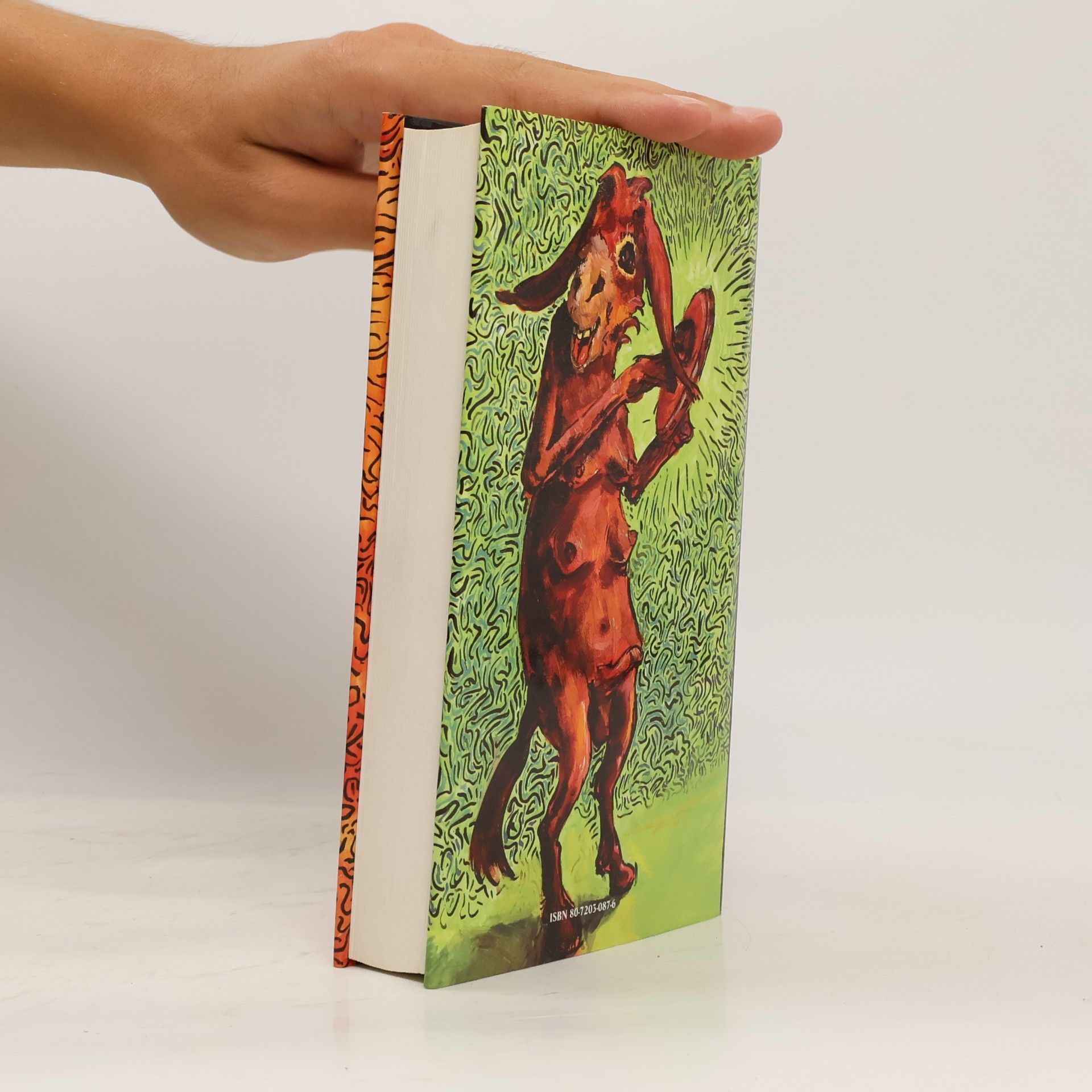 Tom Robbins Hubené nohy a všechno ostatní