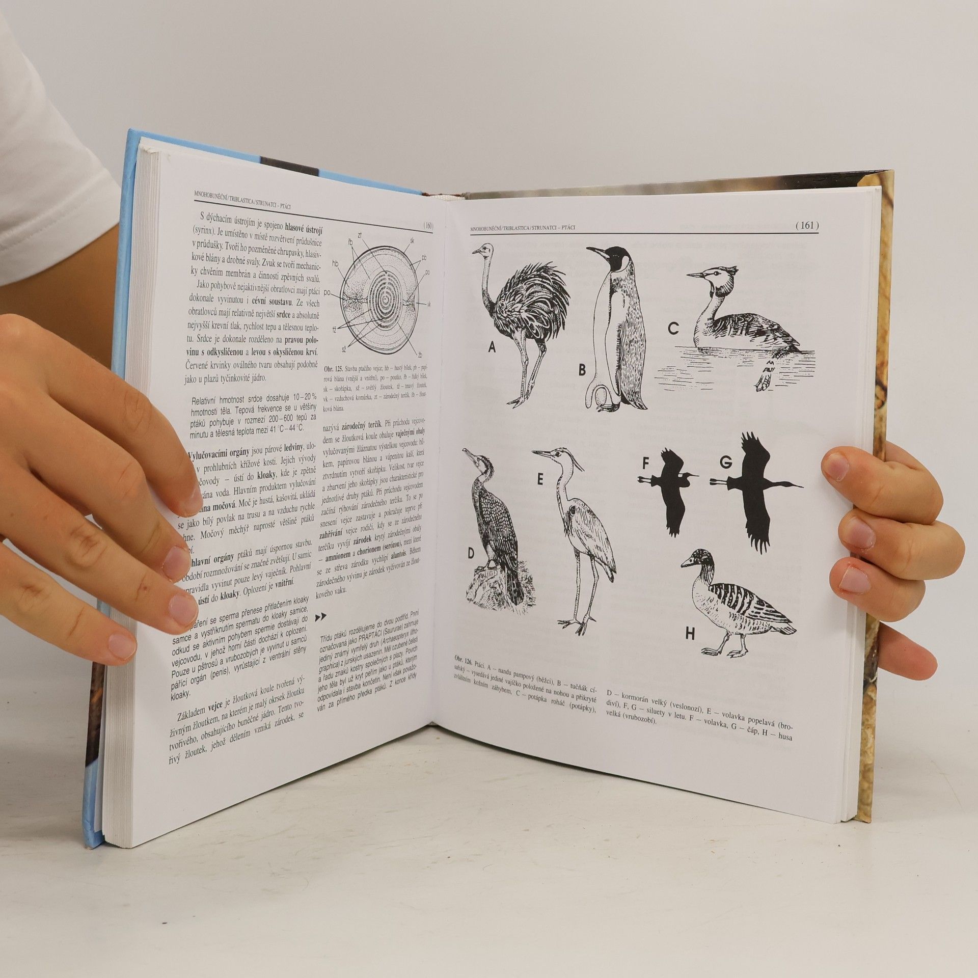 Miroslav Papáček Zoologie