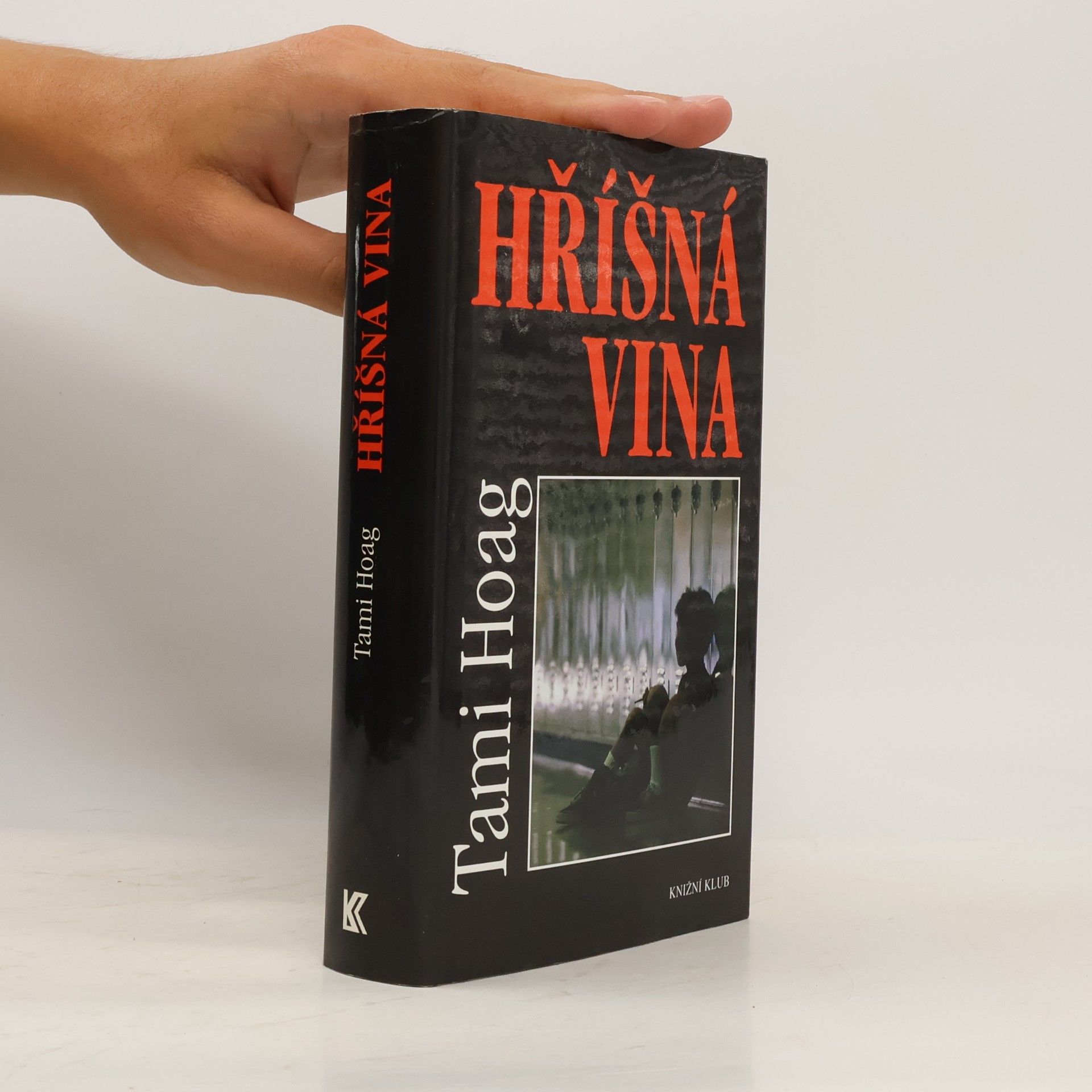 Tami Hoag Hříšná vina