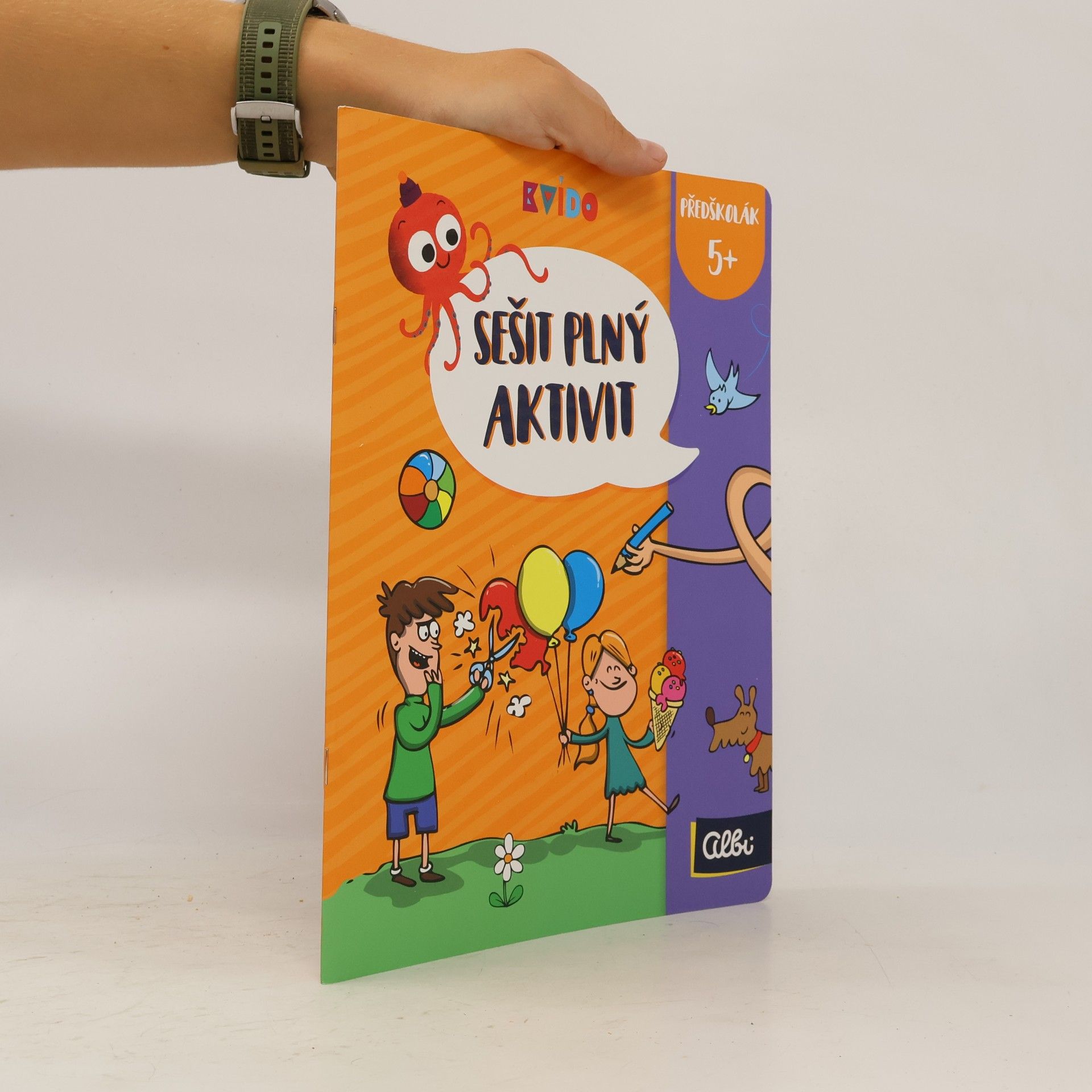 Autorenkollektiv Sešit plný aktivit. Předškolák 5+