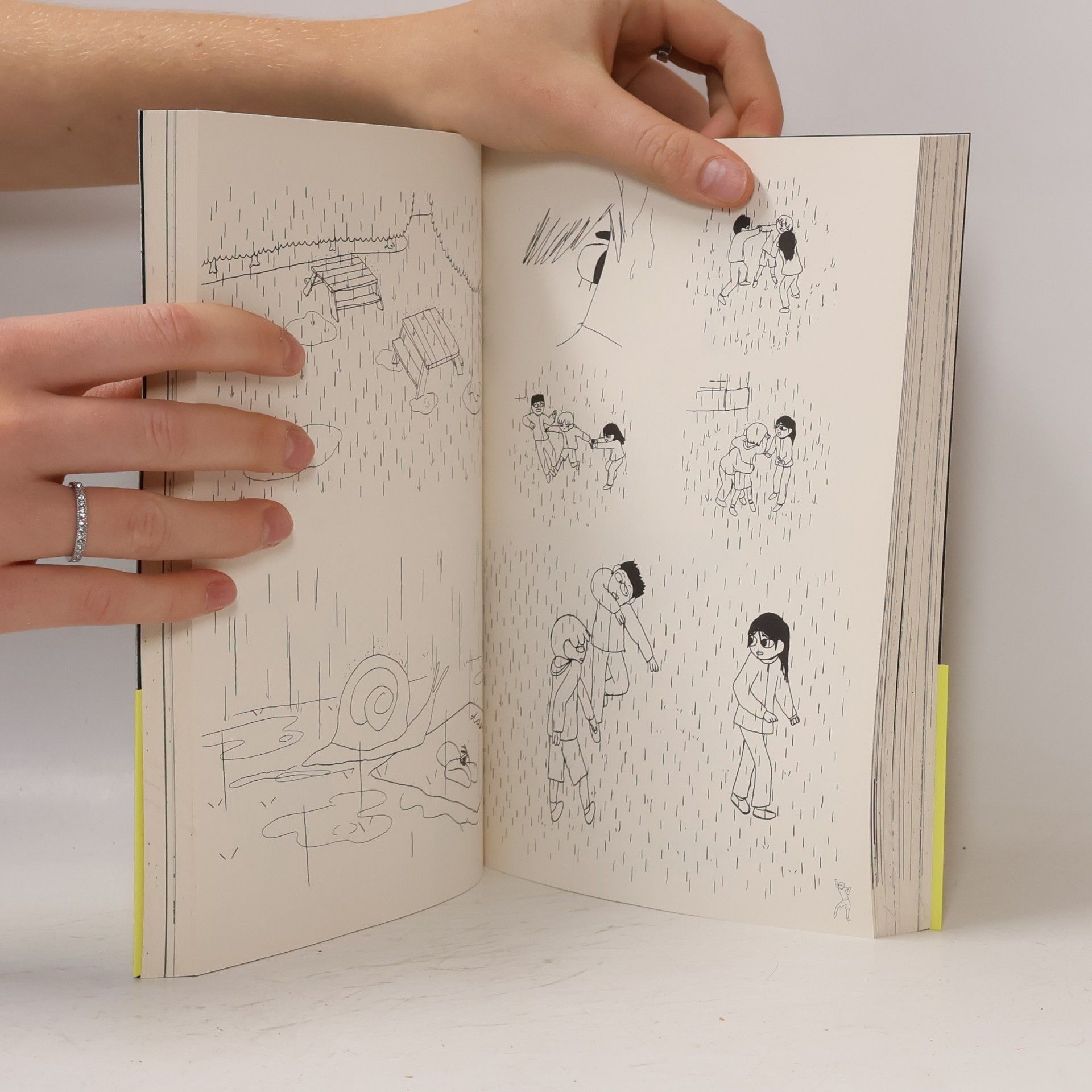 Emilie Tronche Le journal de Samuel