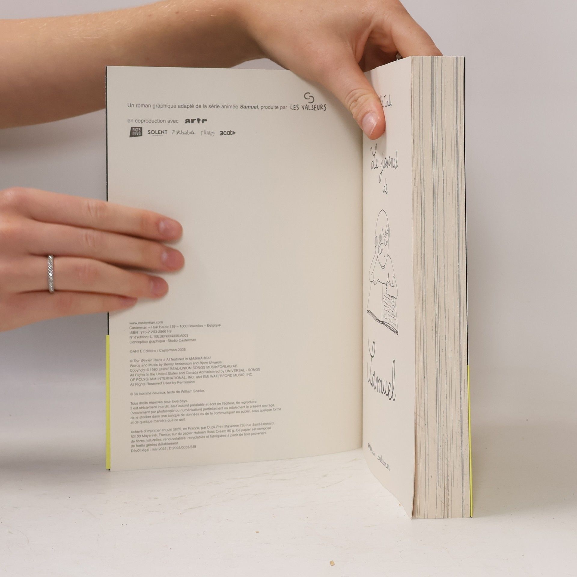Emilie Tronche Le journal de Samuel