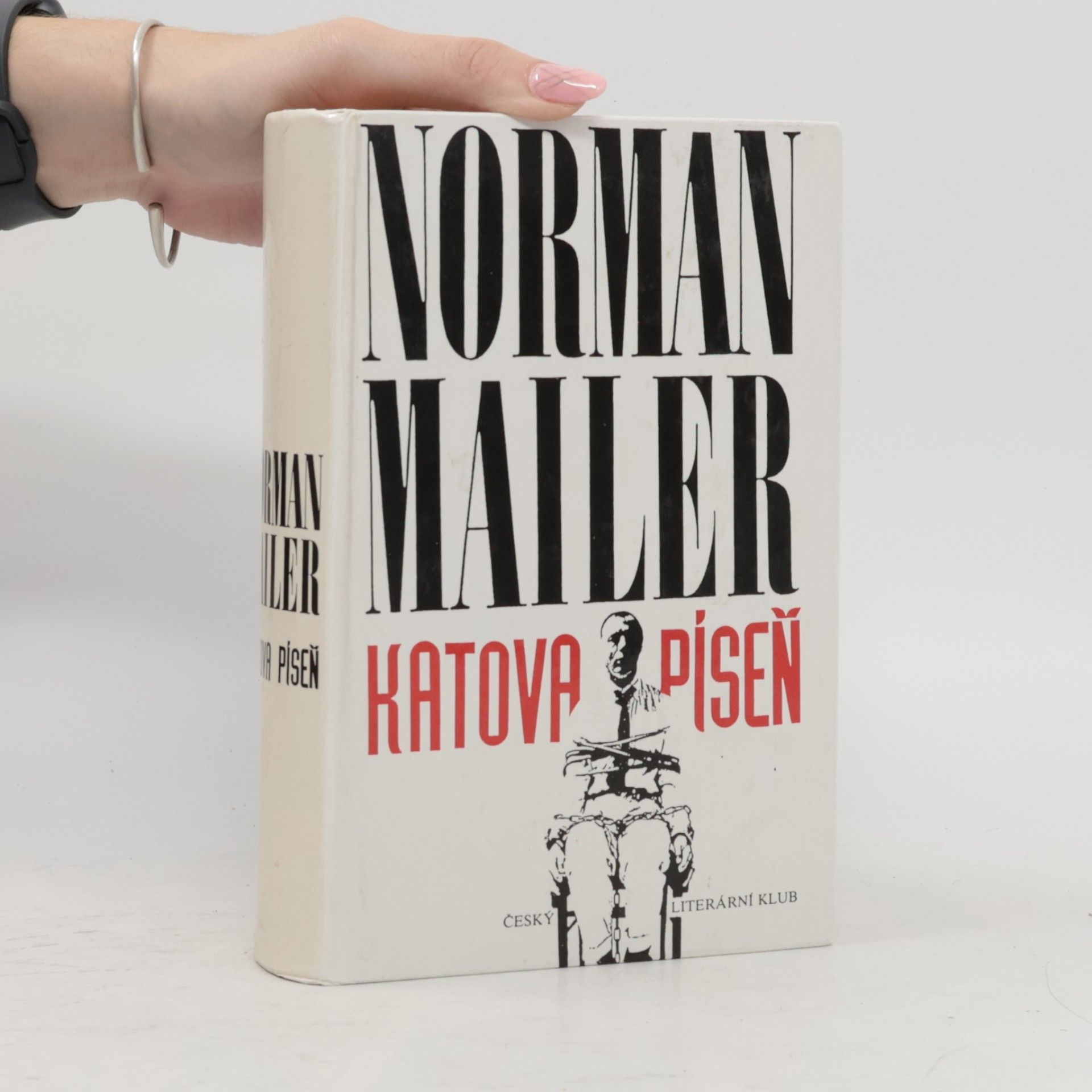 Norman Mailer Katova píseň