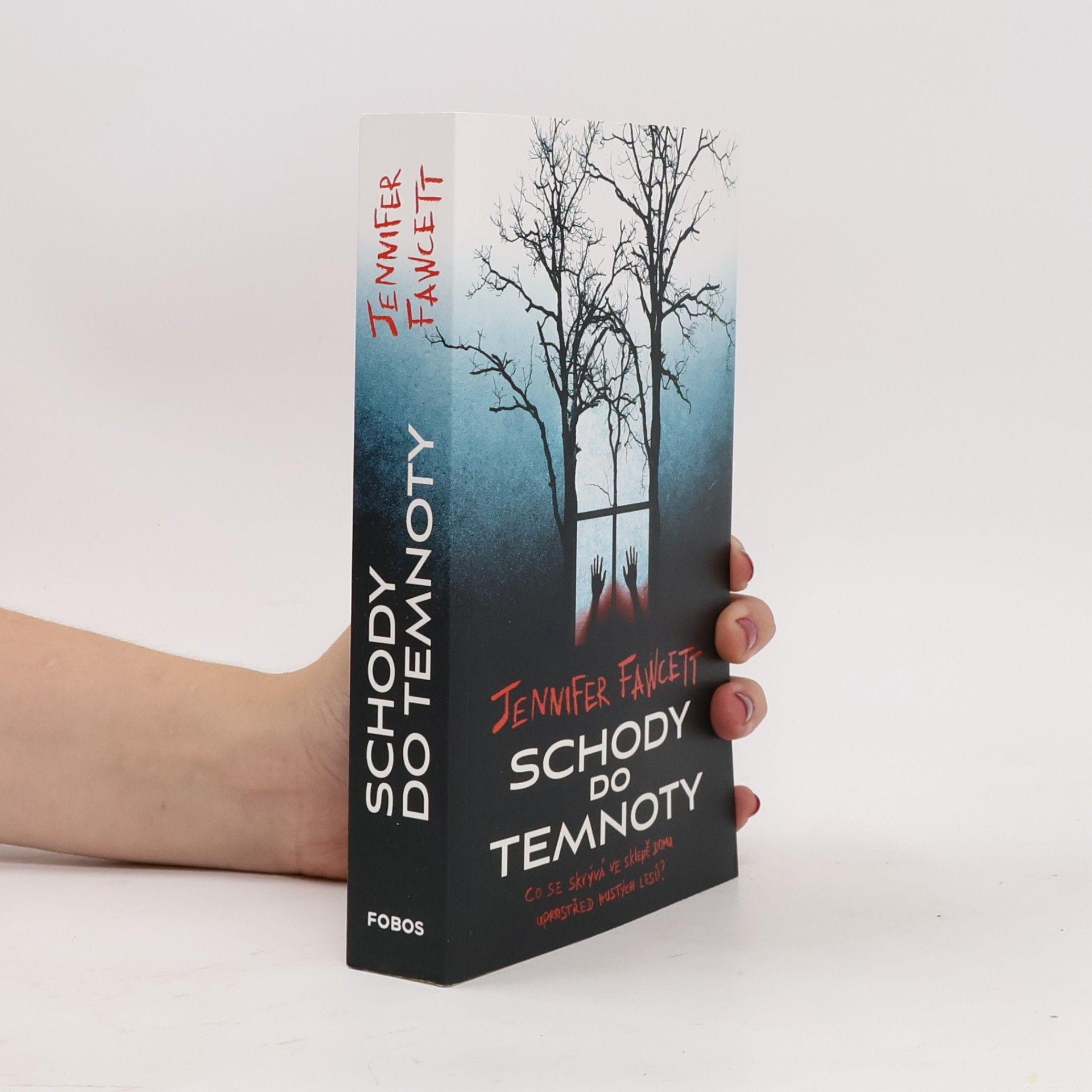 Jennifer Fawcett Schody do temnoty