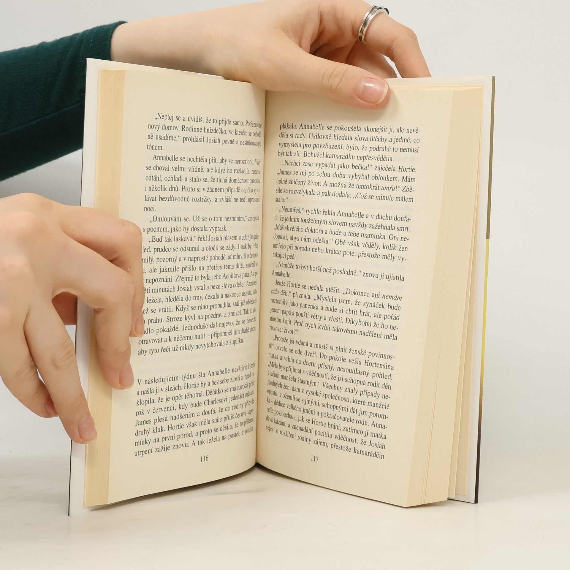 Danielle Steel Šlechetná žena