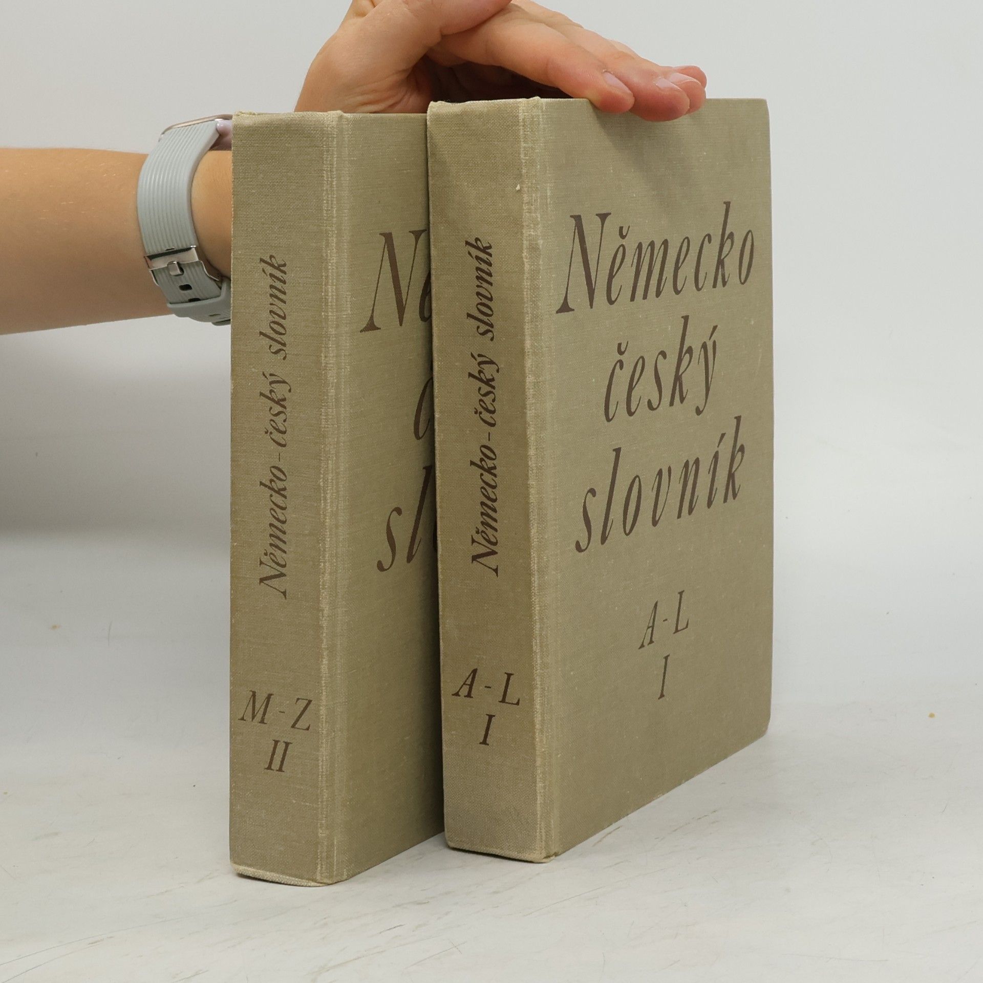 Autorenkollektiv Německo-český slovník I-II. A-L, M-Z