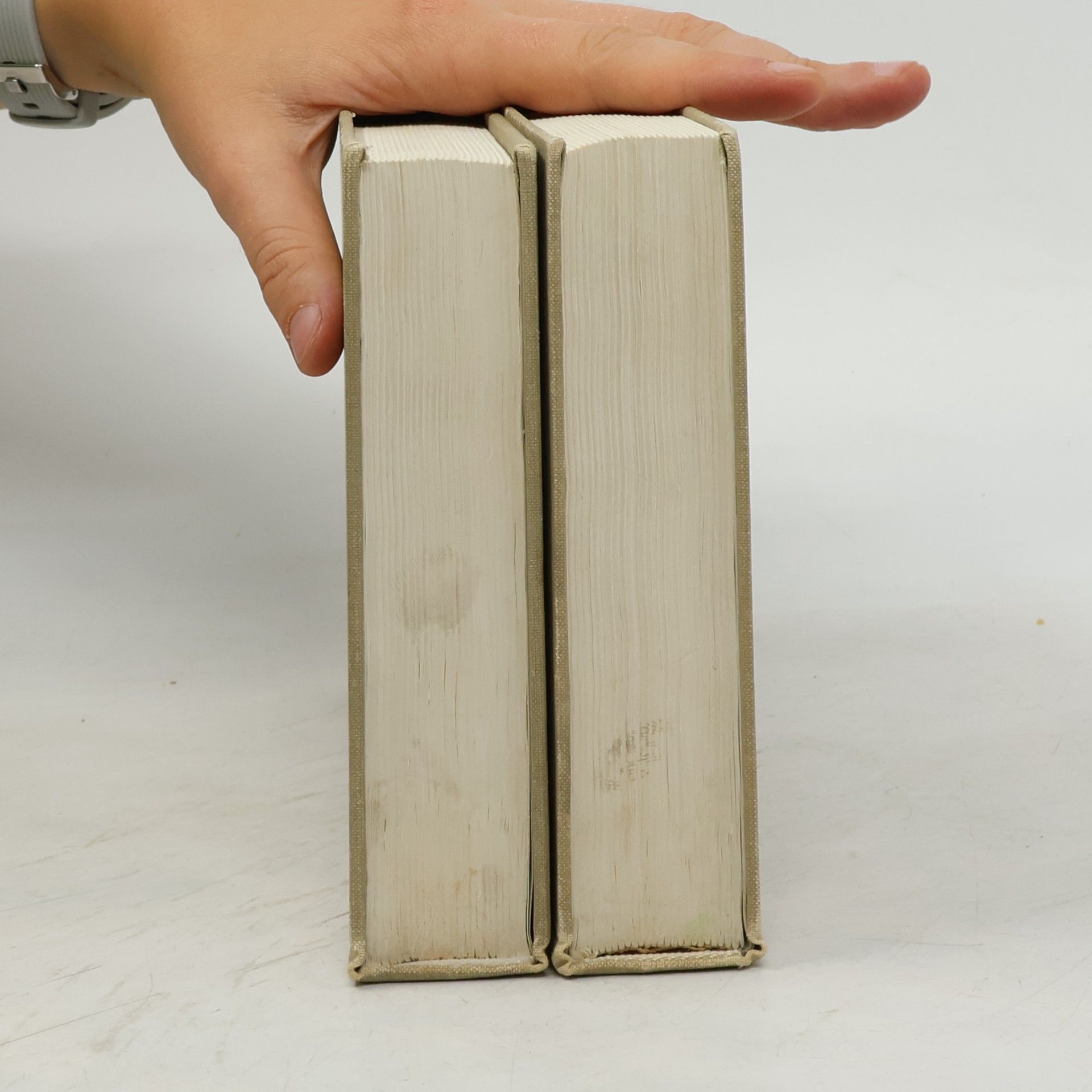 Autorenkollektiv Německo-český slovník I-II. A-L, M-Z
