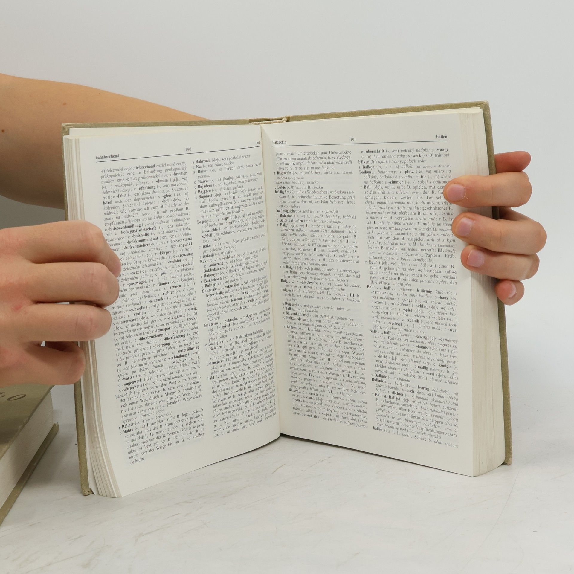 Autorenkollektiv Německo-český slovník I-II. A-L, M-Z