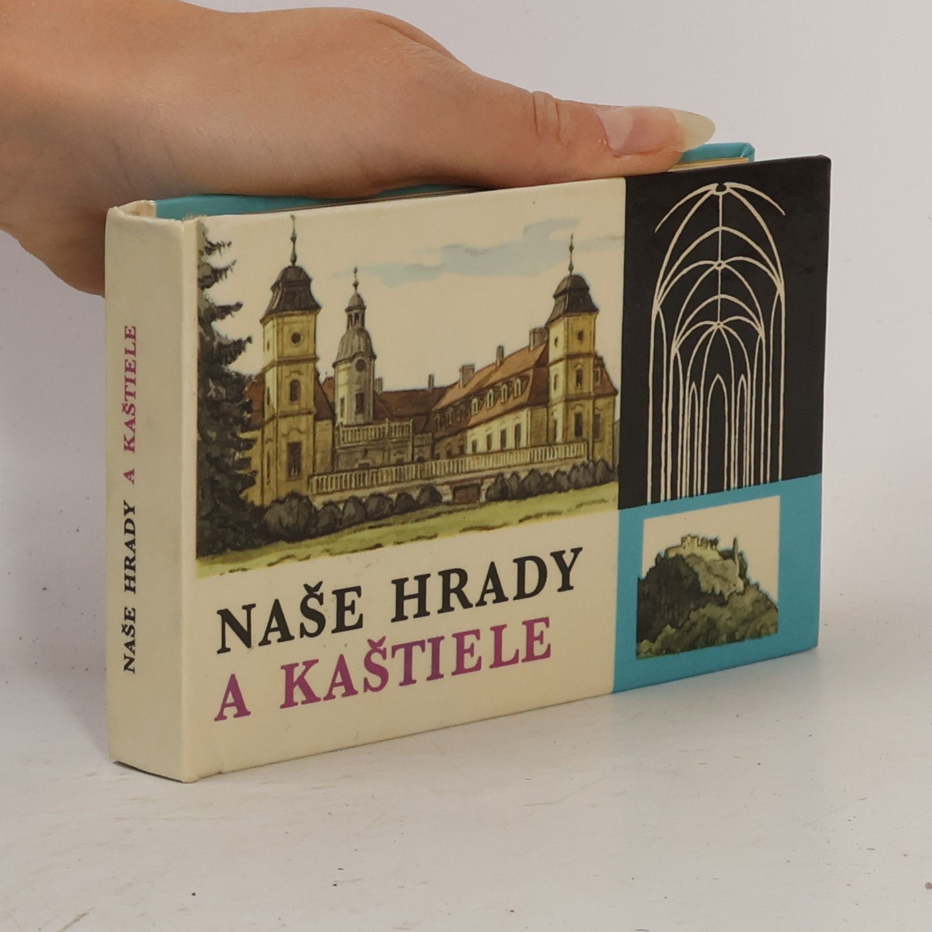 Štefan Pisoň Naše hrady a kaštiele