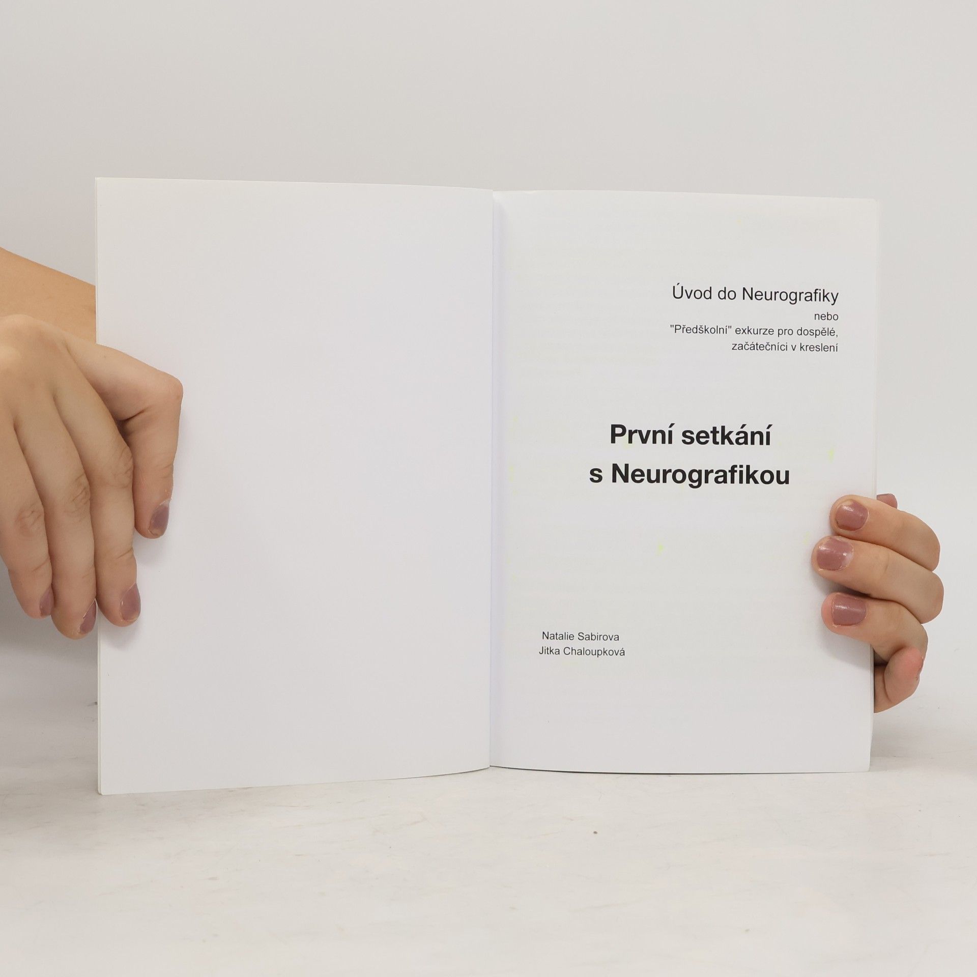 Natalie Sabirova První setkání s Neurografikou