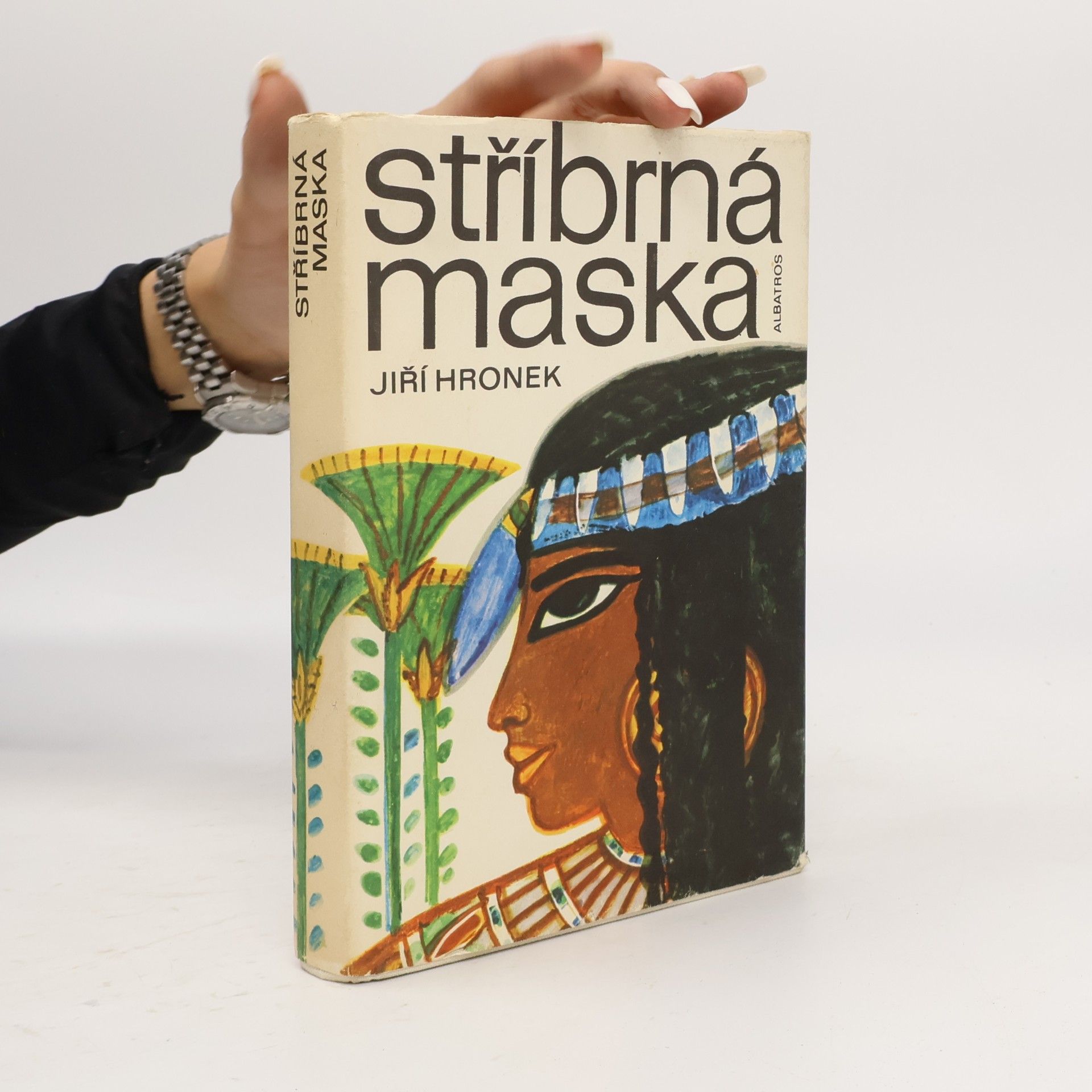 Stříbrná maska