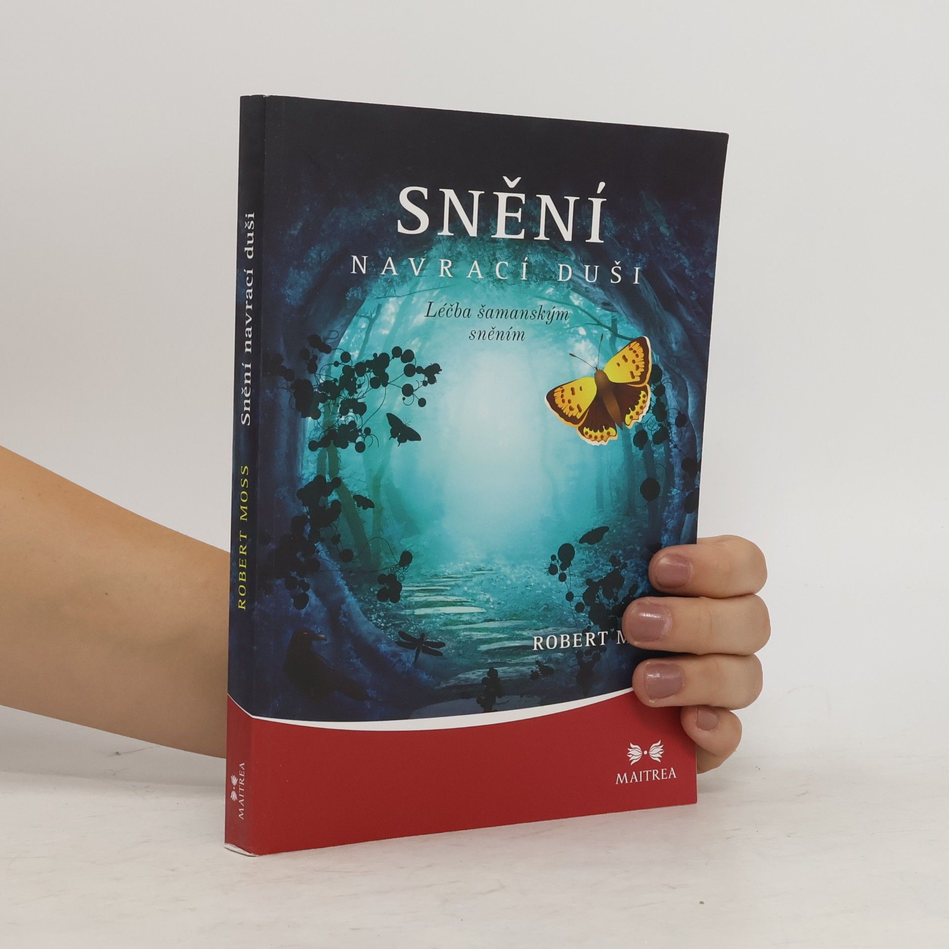 Robert Moss Snění navrací duši. Léčba šamanským sněním
