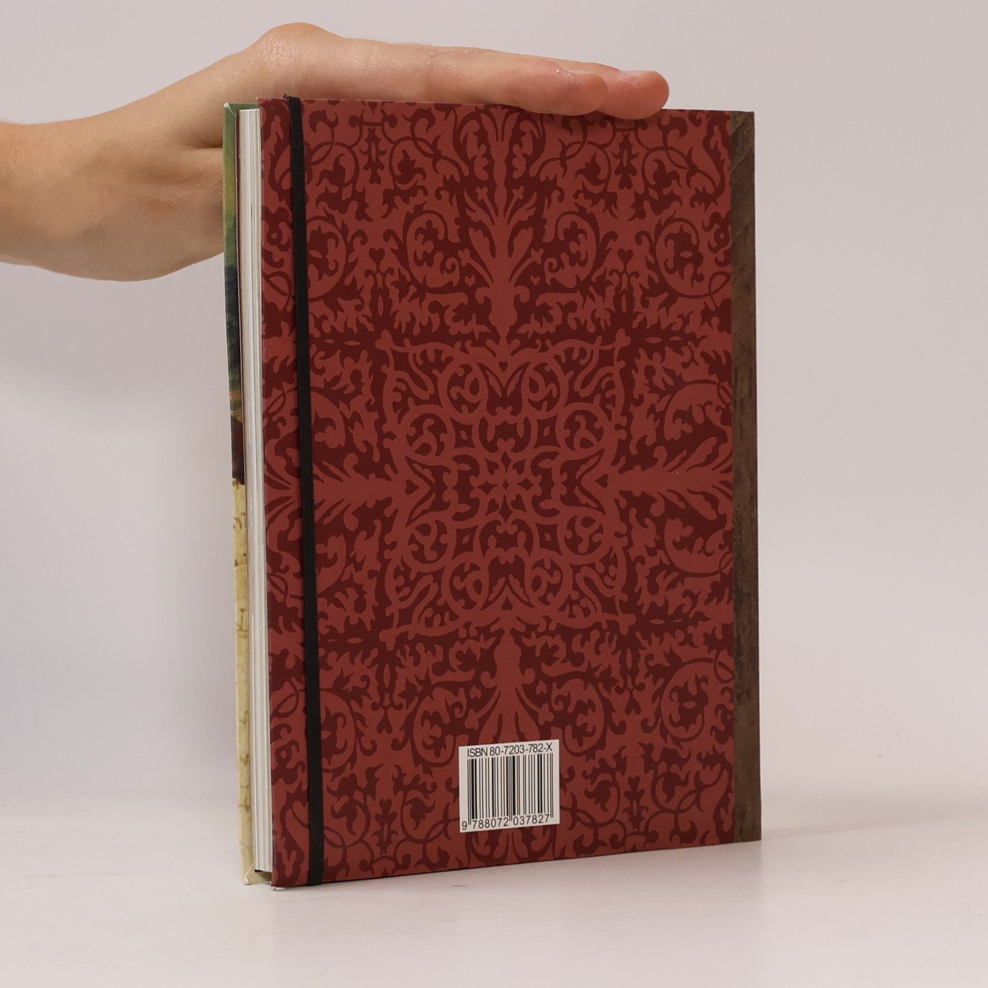 Dan Brown Da Vinciho kód: Cestovní deník