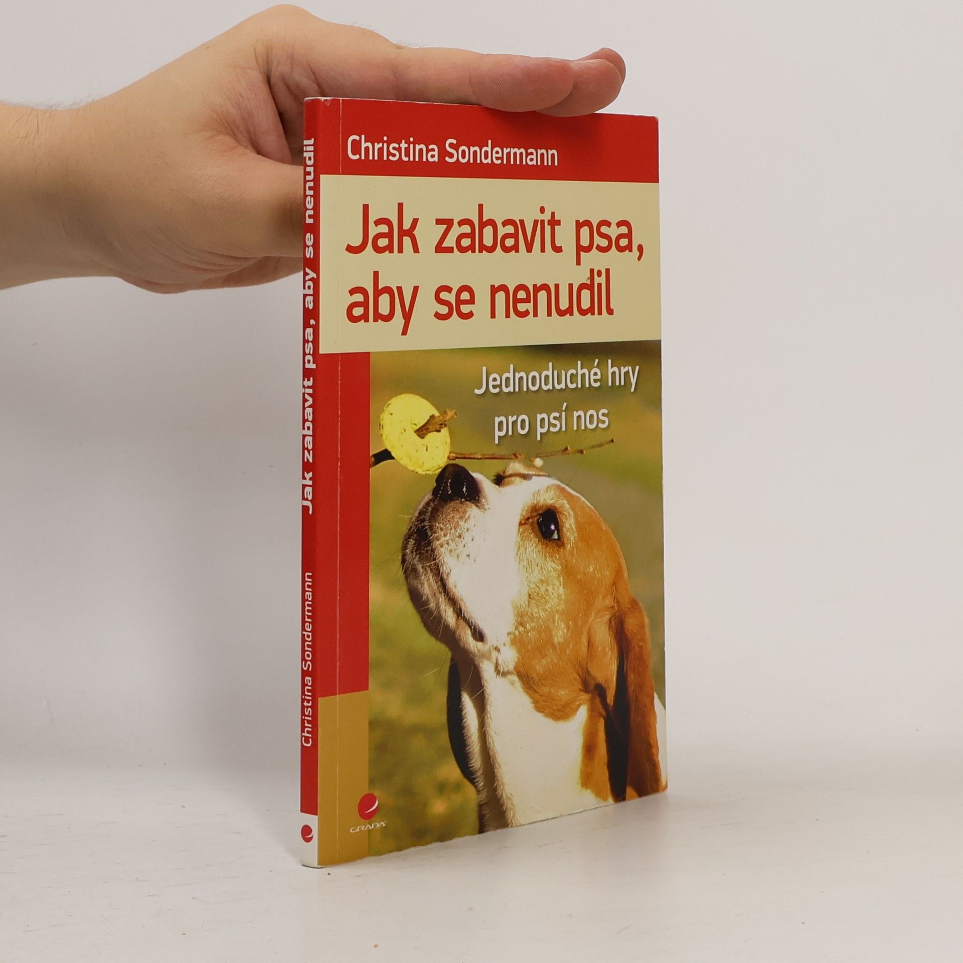 Christina Sondermann Jak zabavit psa, aby se nenudil : jednoduché hry pro psí nos