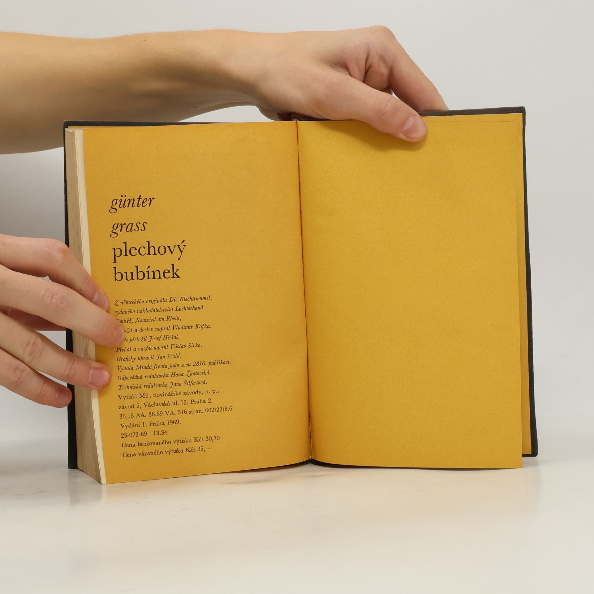 Günter Grass Plechový bubínek