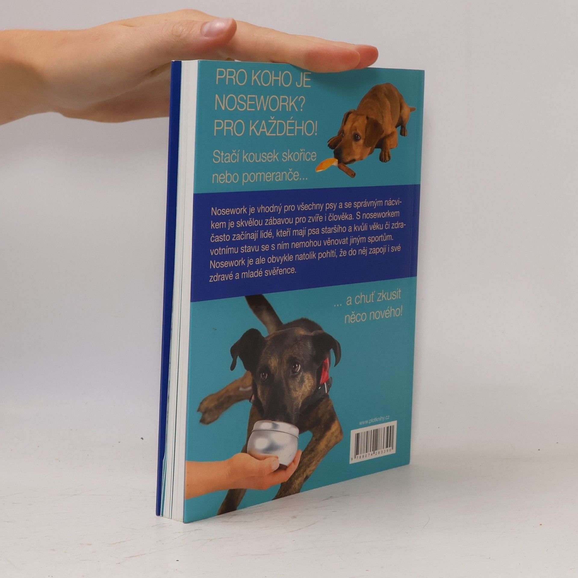Kristýna Dostálková Nosework. Práce i zábava nejen pro psí nos