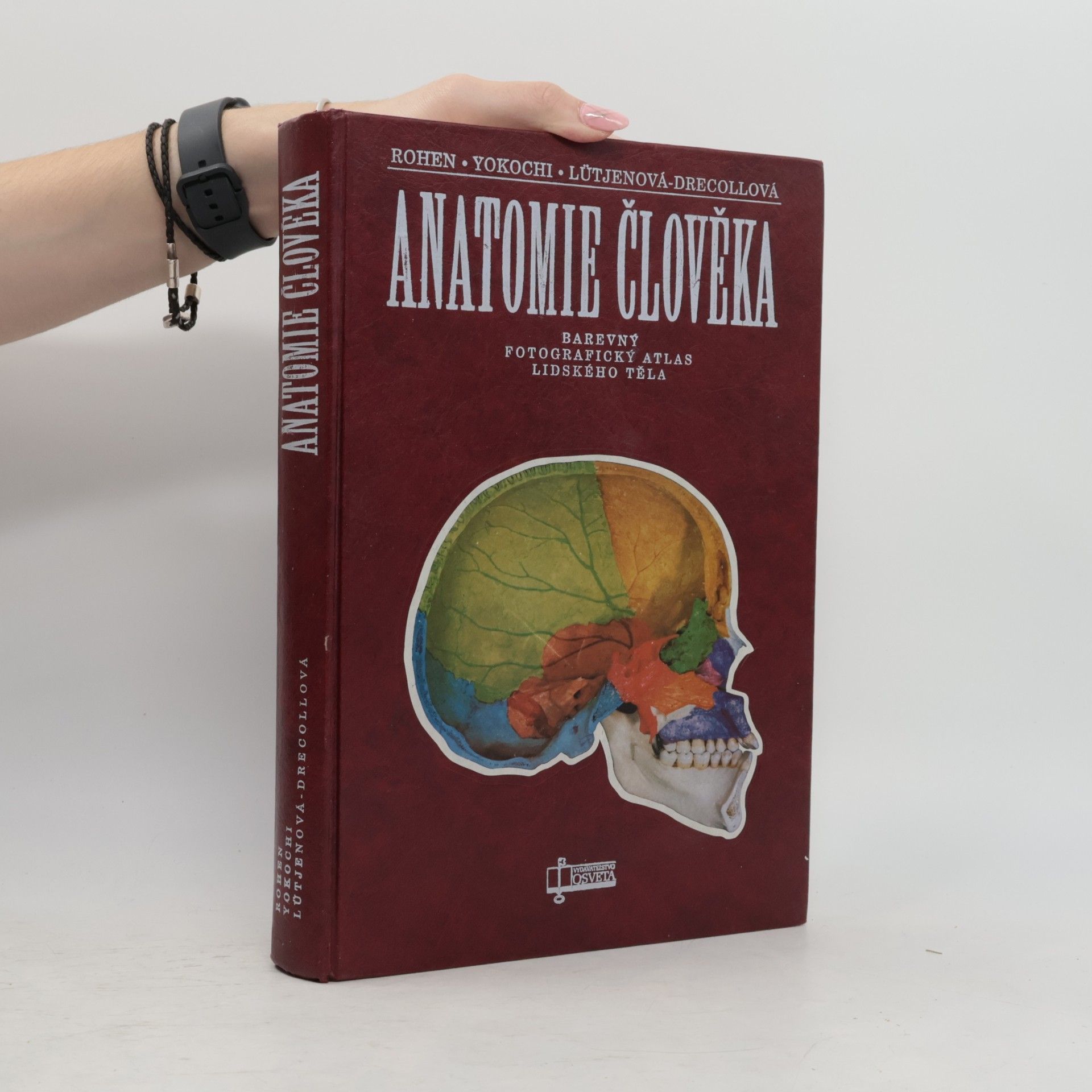 Anatomie člověka
