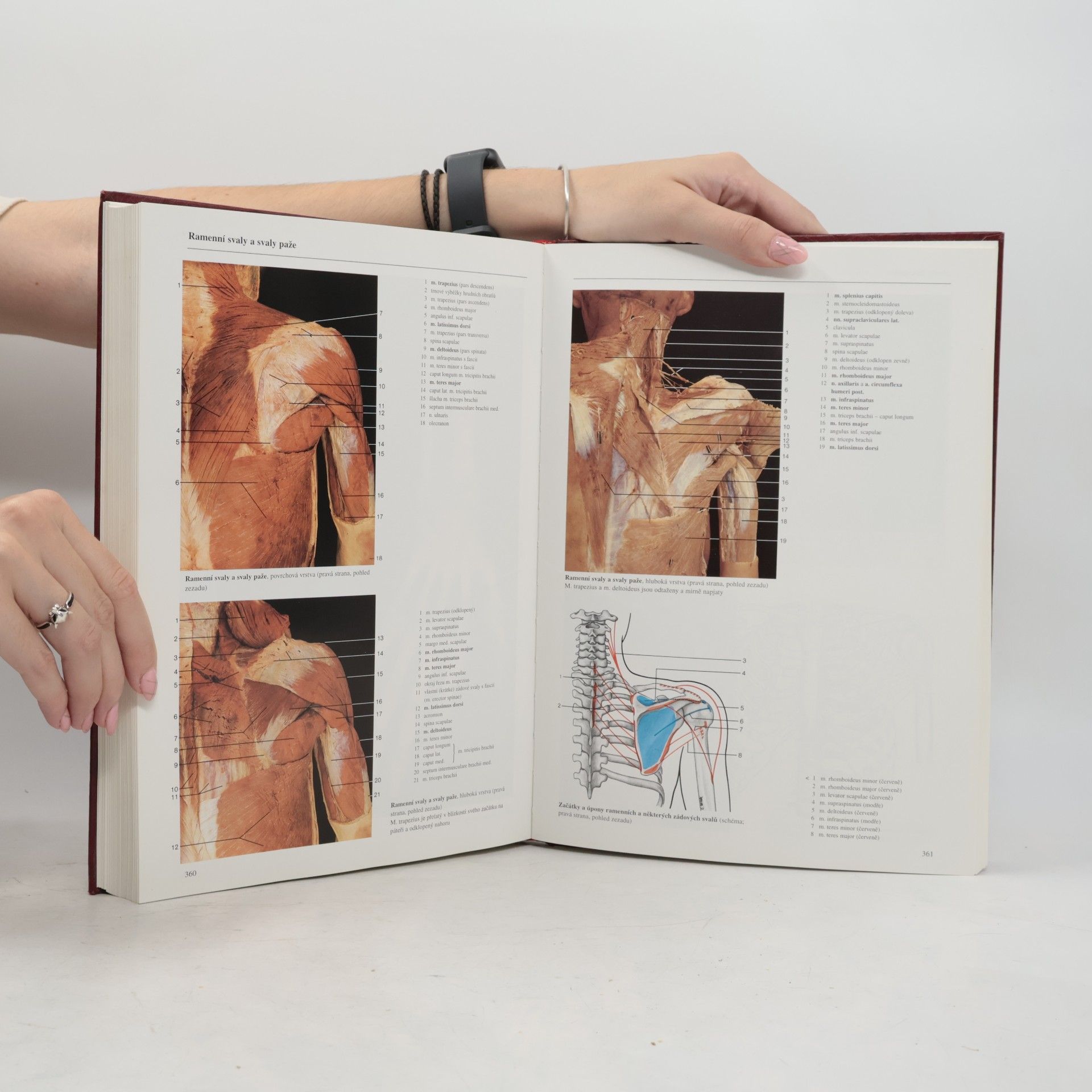 Johannes W. Rohen Anatomie člověka