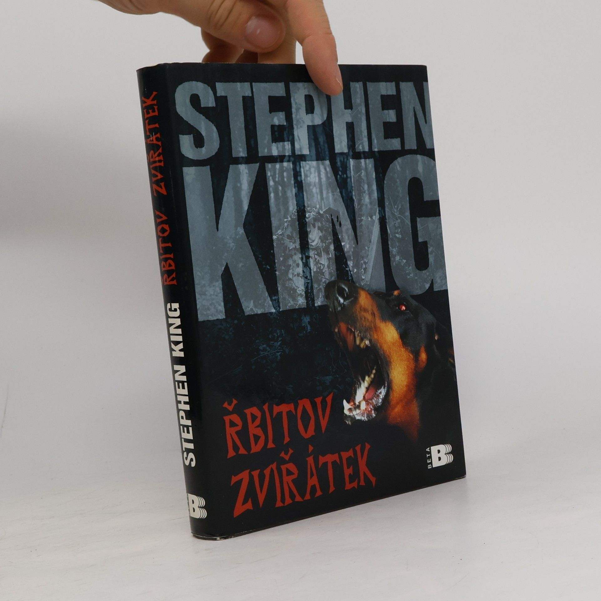 Stephen King Řbitov zviřátek