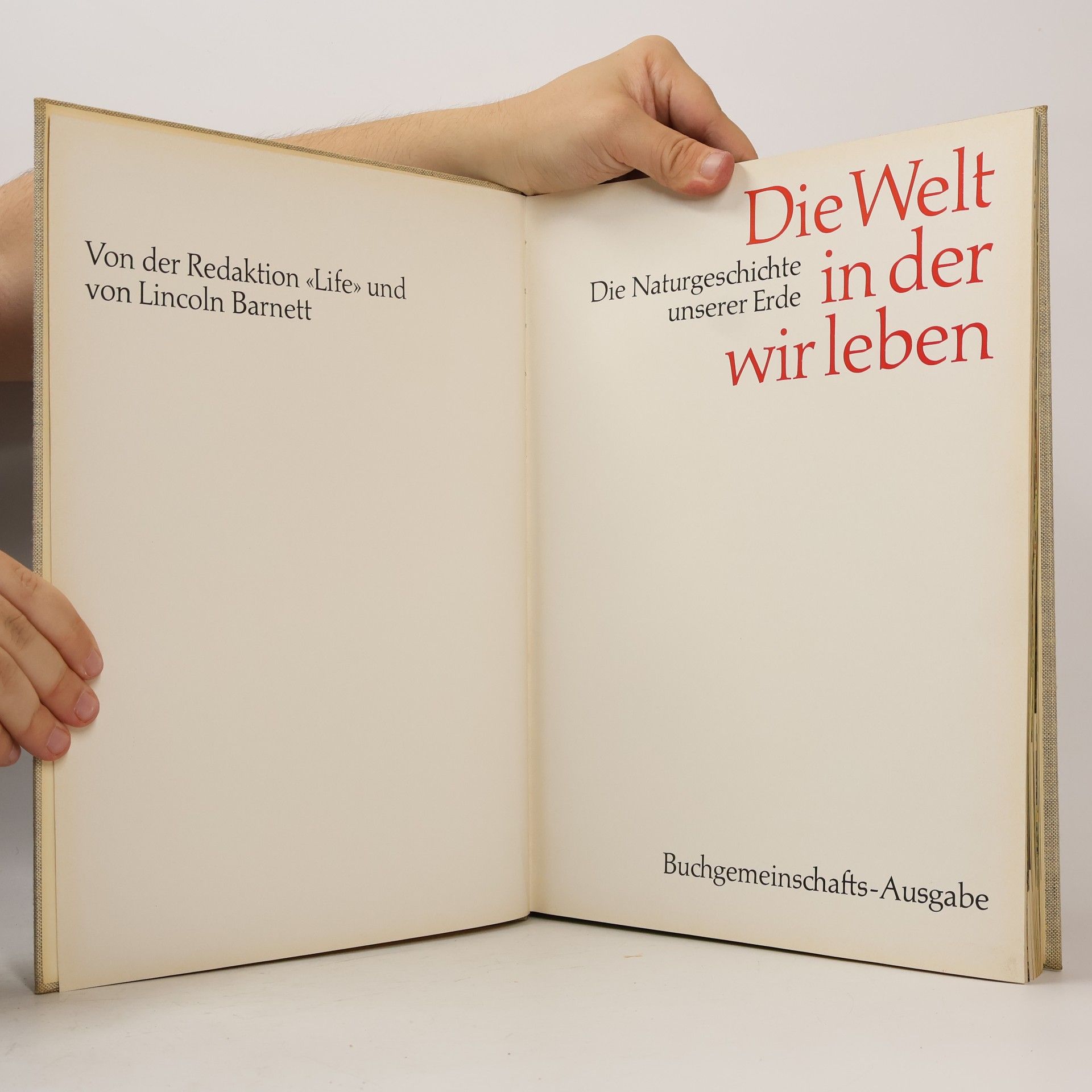 kolektiv Die Welt in der wir leben