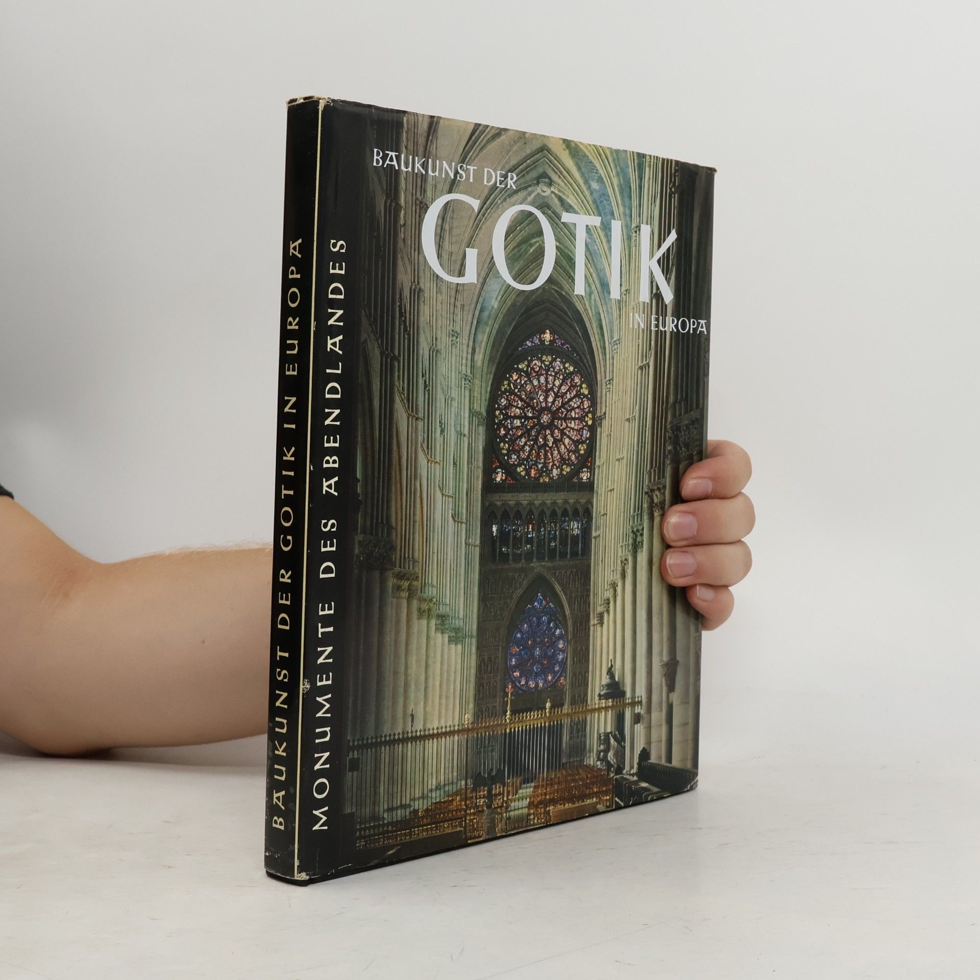 Kolektiv autorů Baukunst der Gotik in Europa