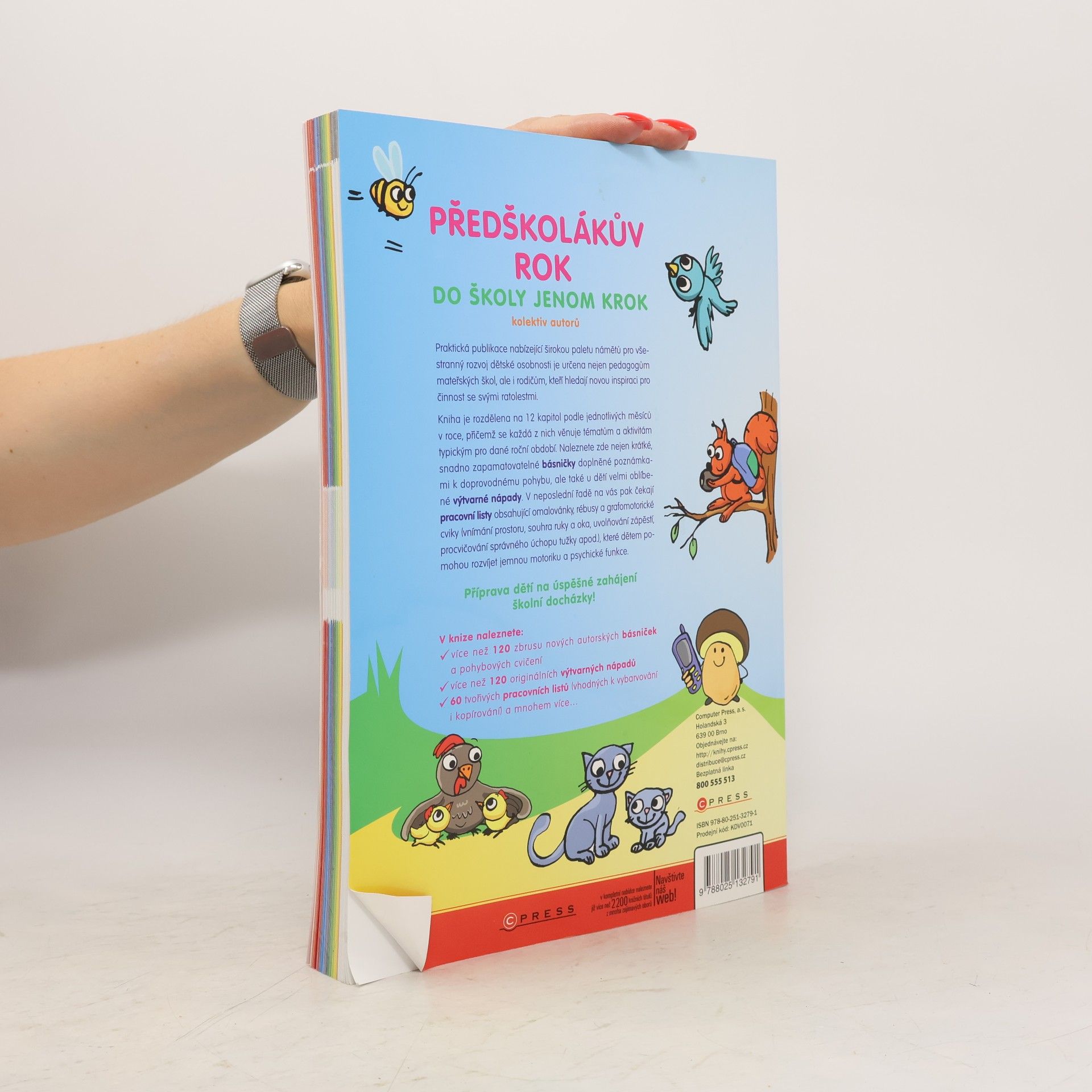 Autorenkollektiv Předškolákův rok - do školy jenom krok