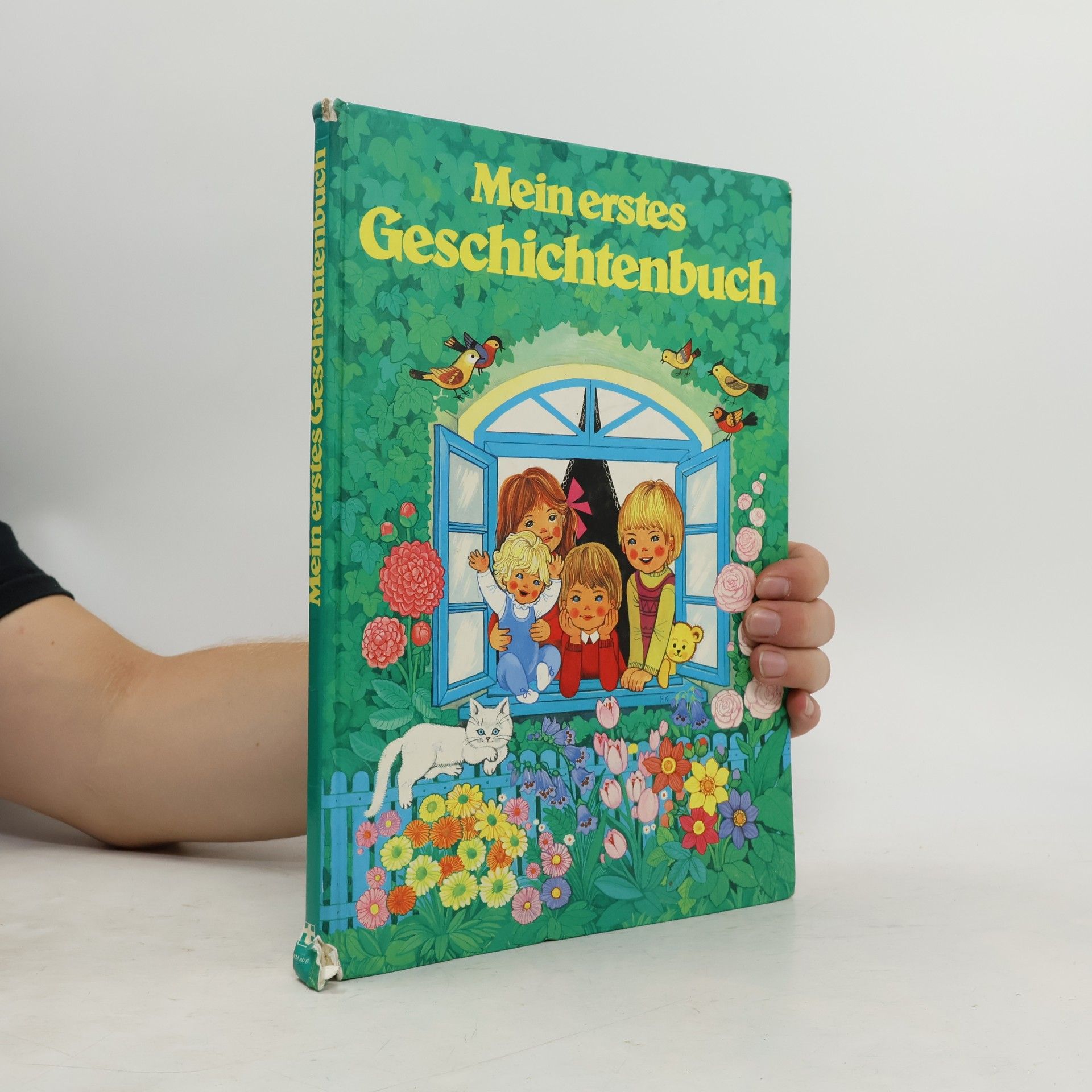 Mein erstes Geschichtenbuch