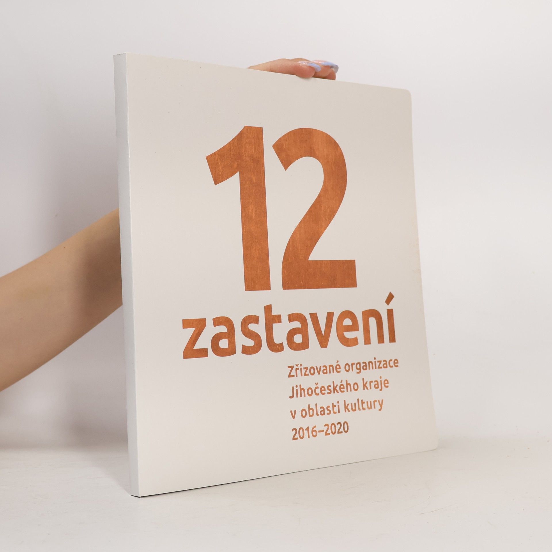 Kolektiv autorů 12 zastavení