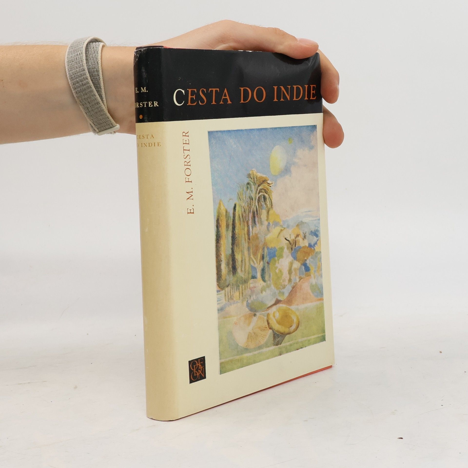 Edward M. Forster Cesta do Indie