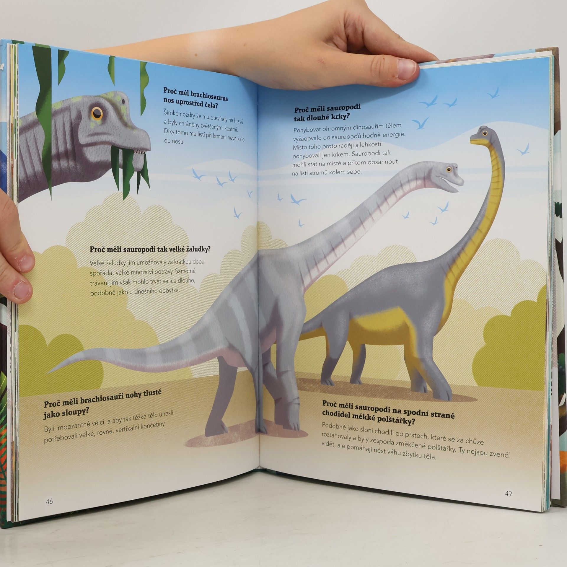 Cristina M. Banfi 200 úžasných faktů o dinosaurech