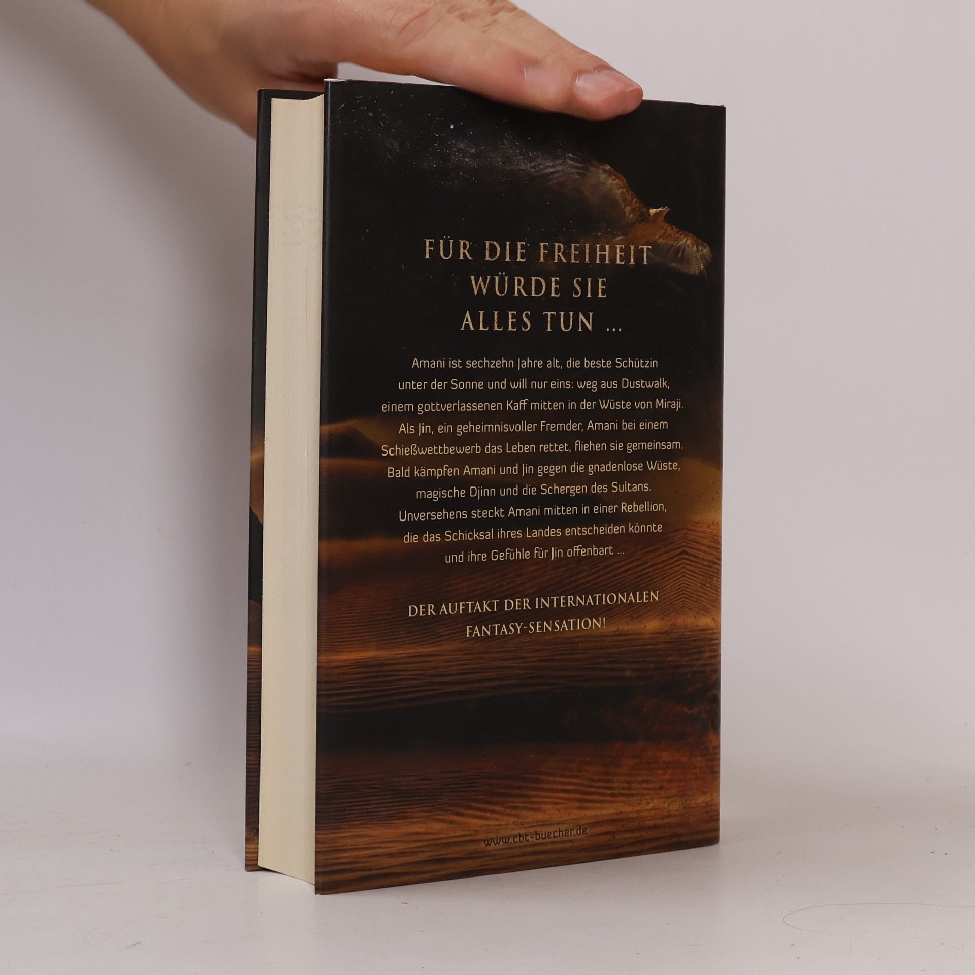 Alwyn Hamilton Rebellin des Sandes