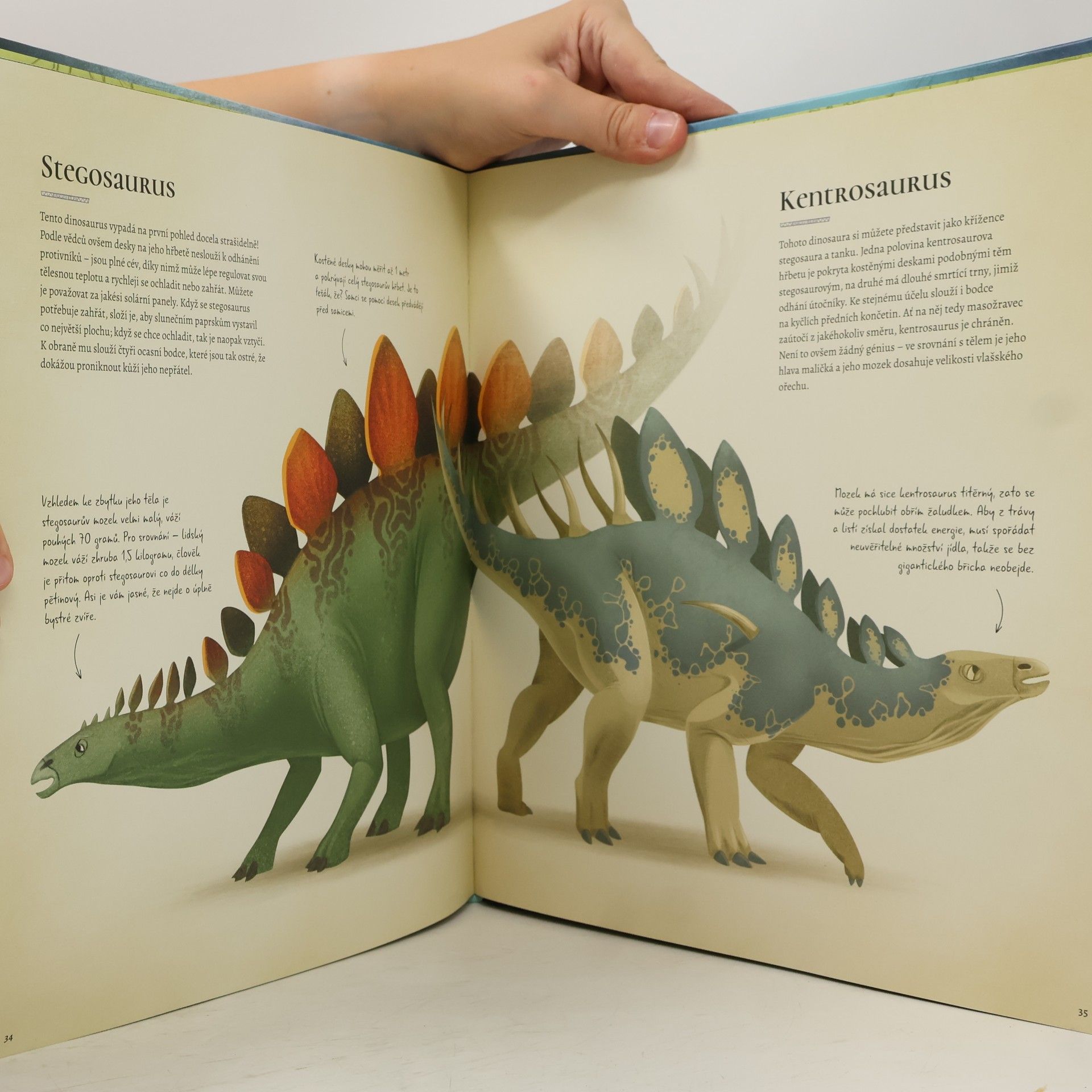 Federica Magrin Kniha plná dinosaurů : příručka zkušeného chovatele