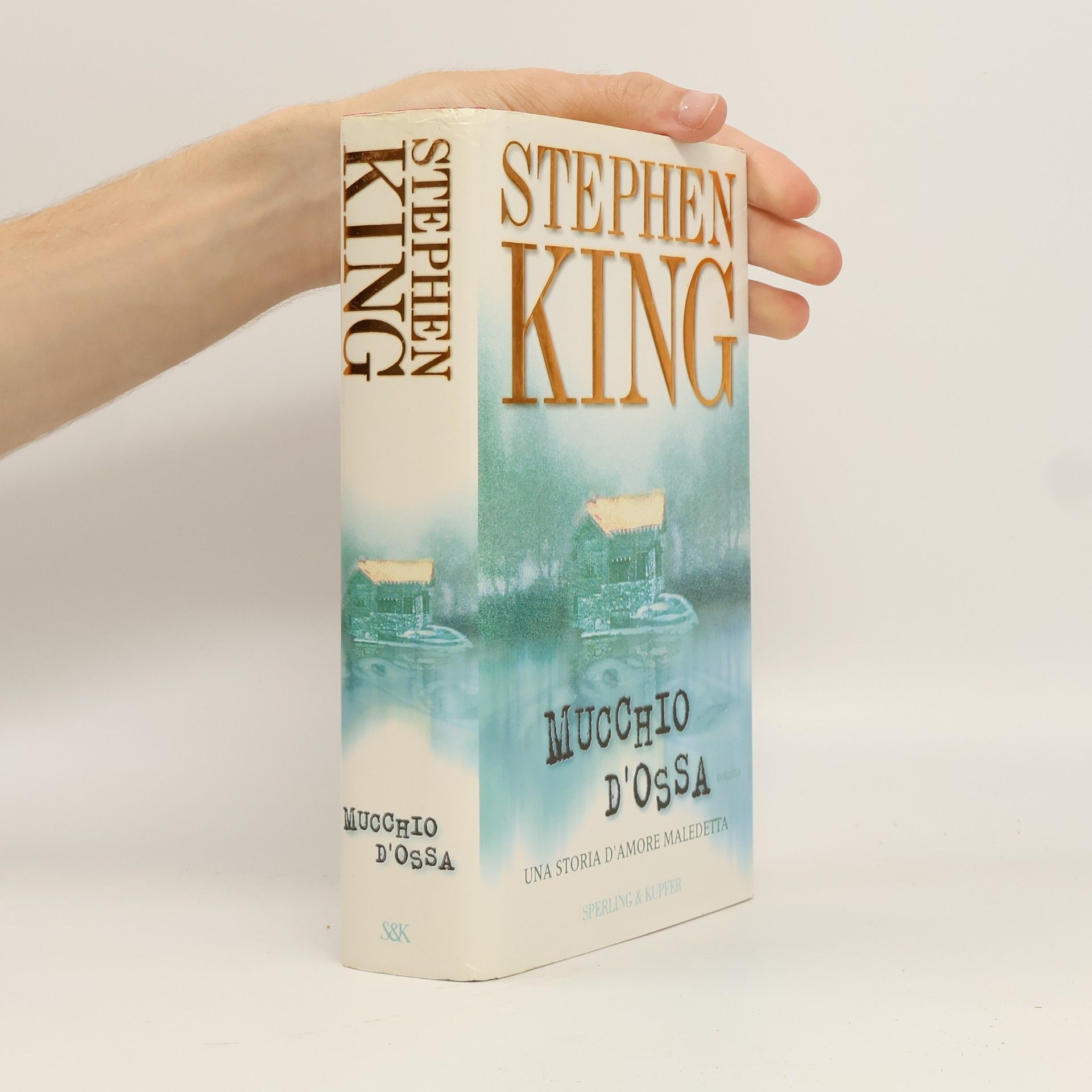 Stephen King Mucchio d'ossa