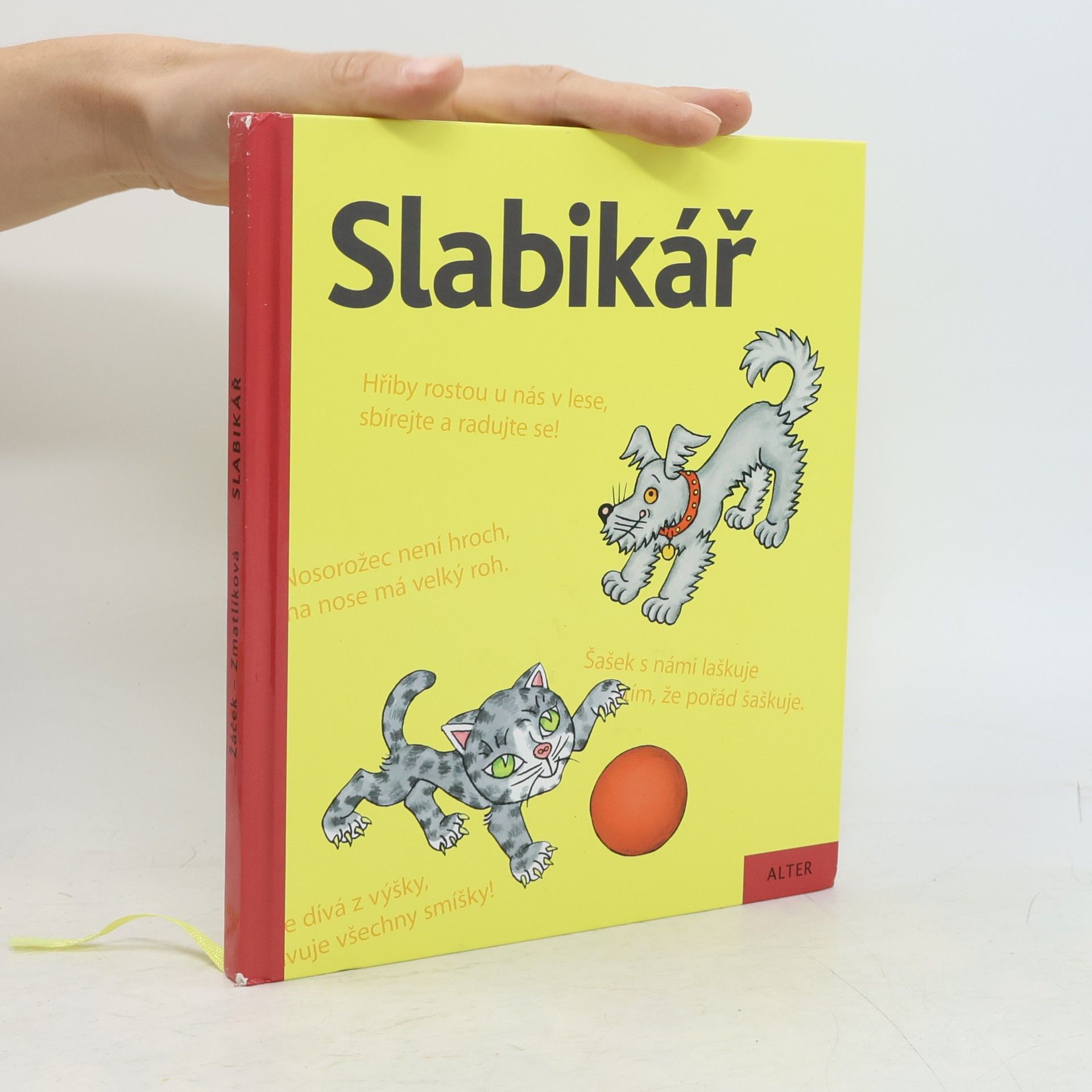 Slabikář : učebnice pro vzdělávací obor Český jazyk a literatura